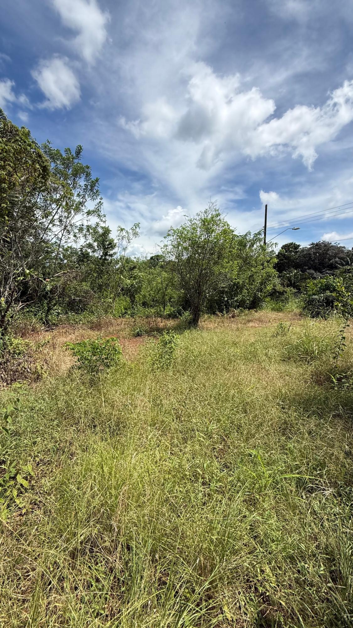 res-00006525-06.jpg