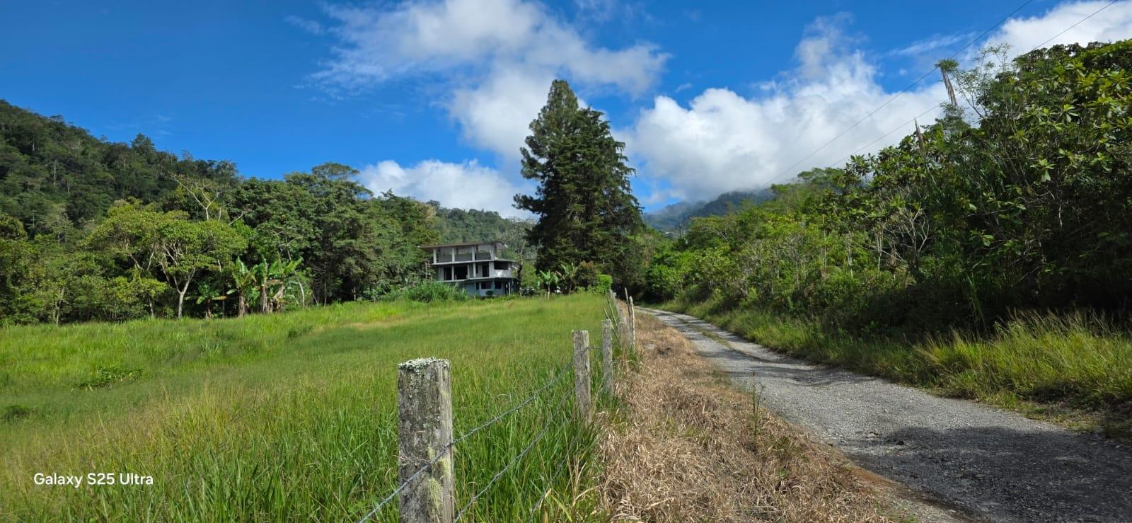 res-00006531-04.jpg