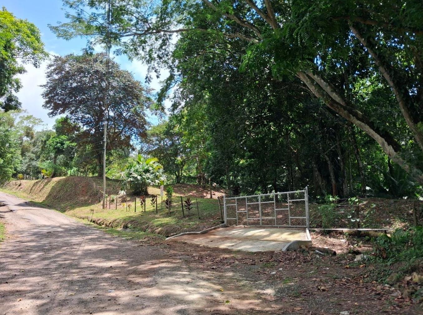 res-00006544-03.jpg