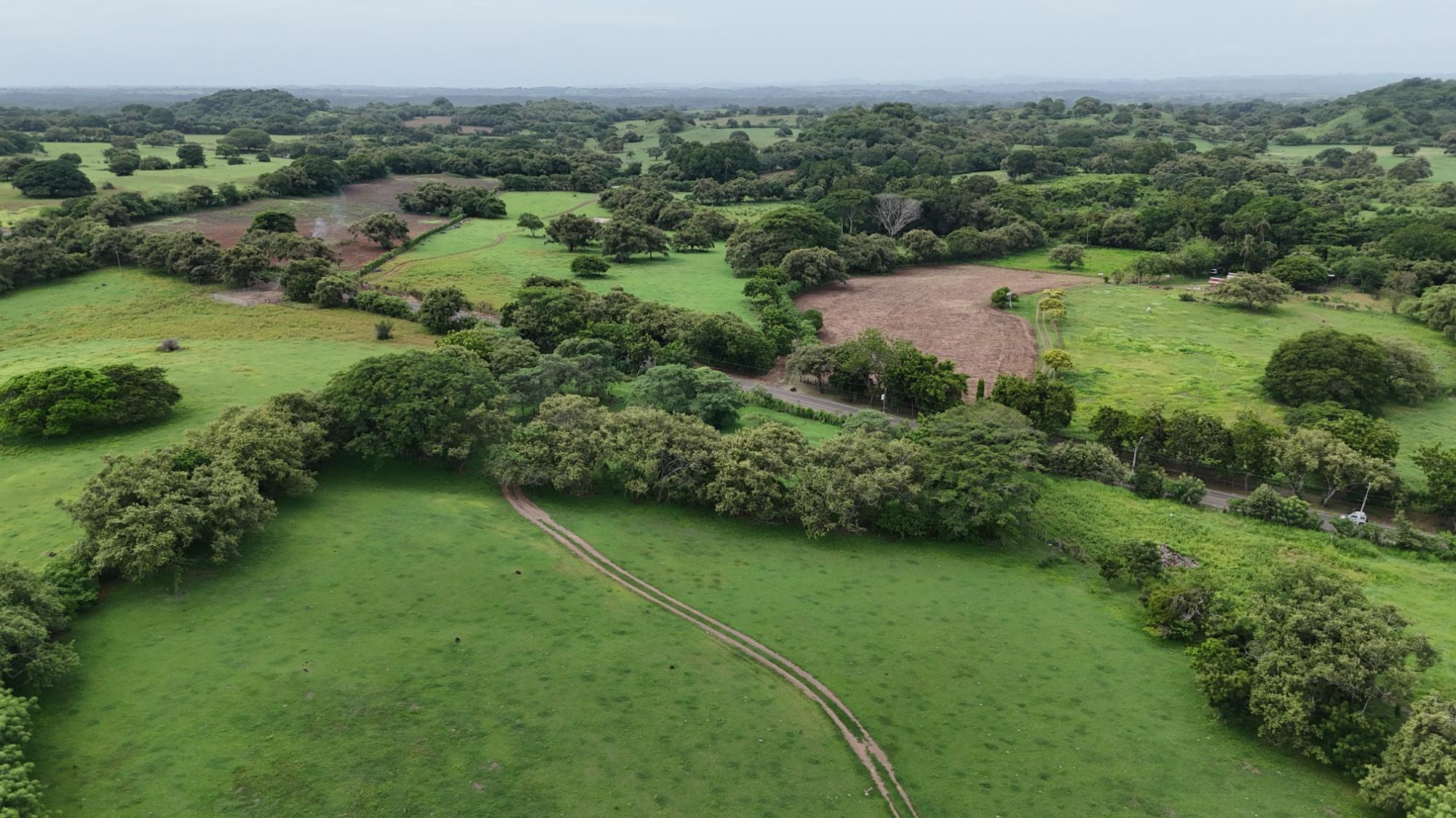 res-00006547-08.jpg