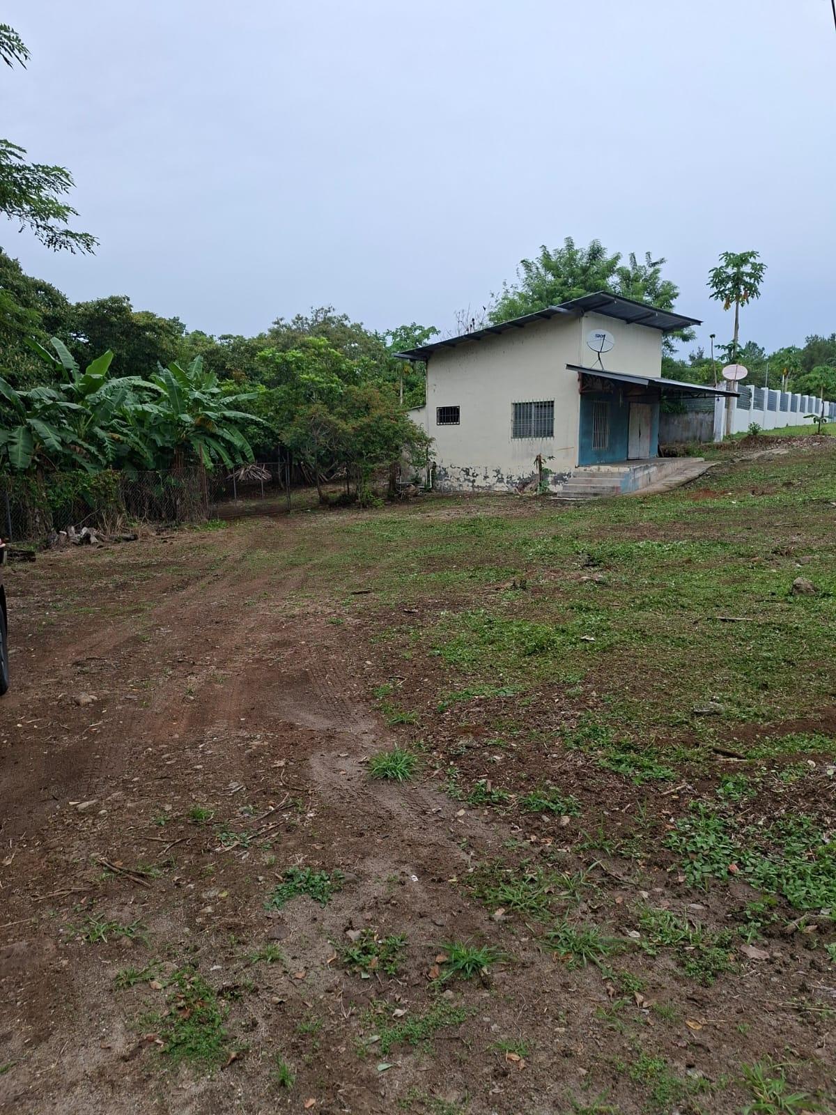res-00006549-02.jpg