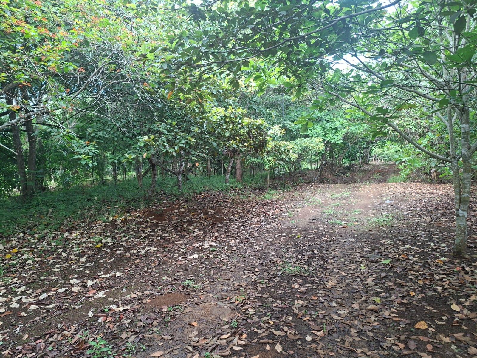 res-00006549-05.jpg