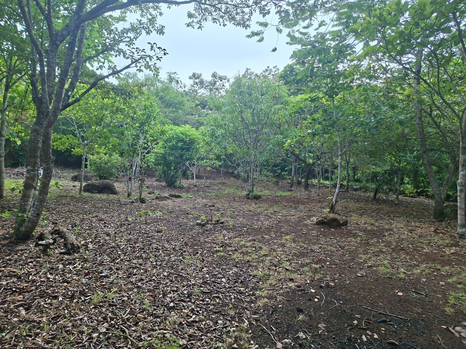 res-00006549-07.jpg
