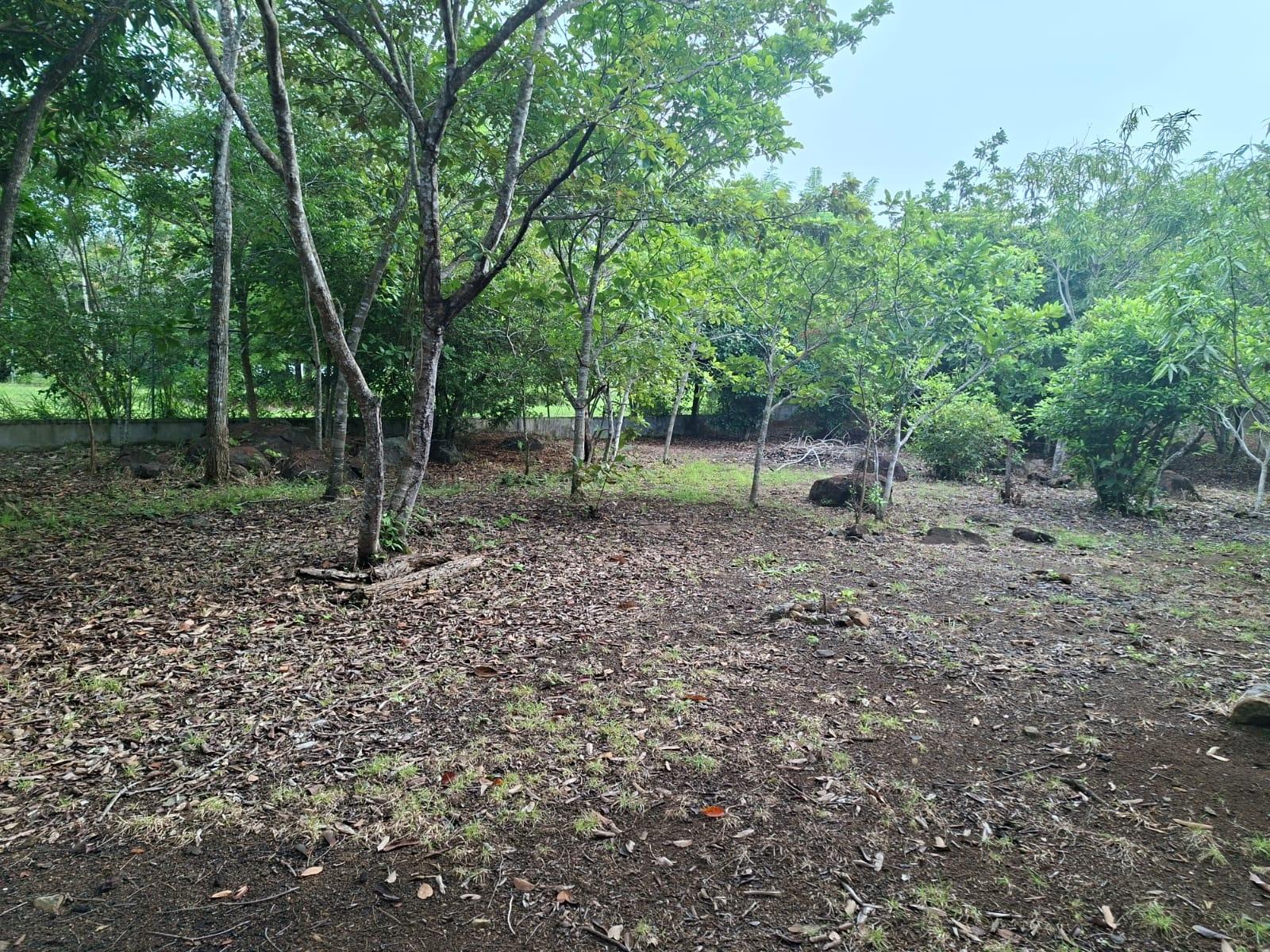 res-00006549-11.jpg
