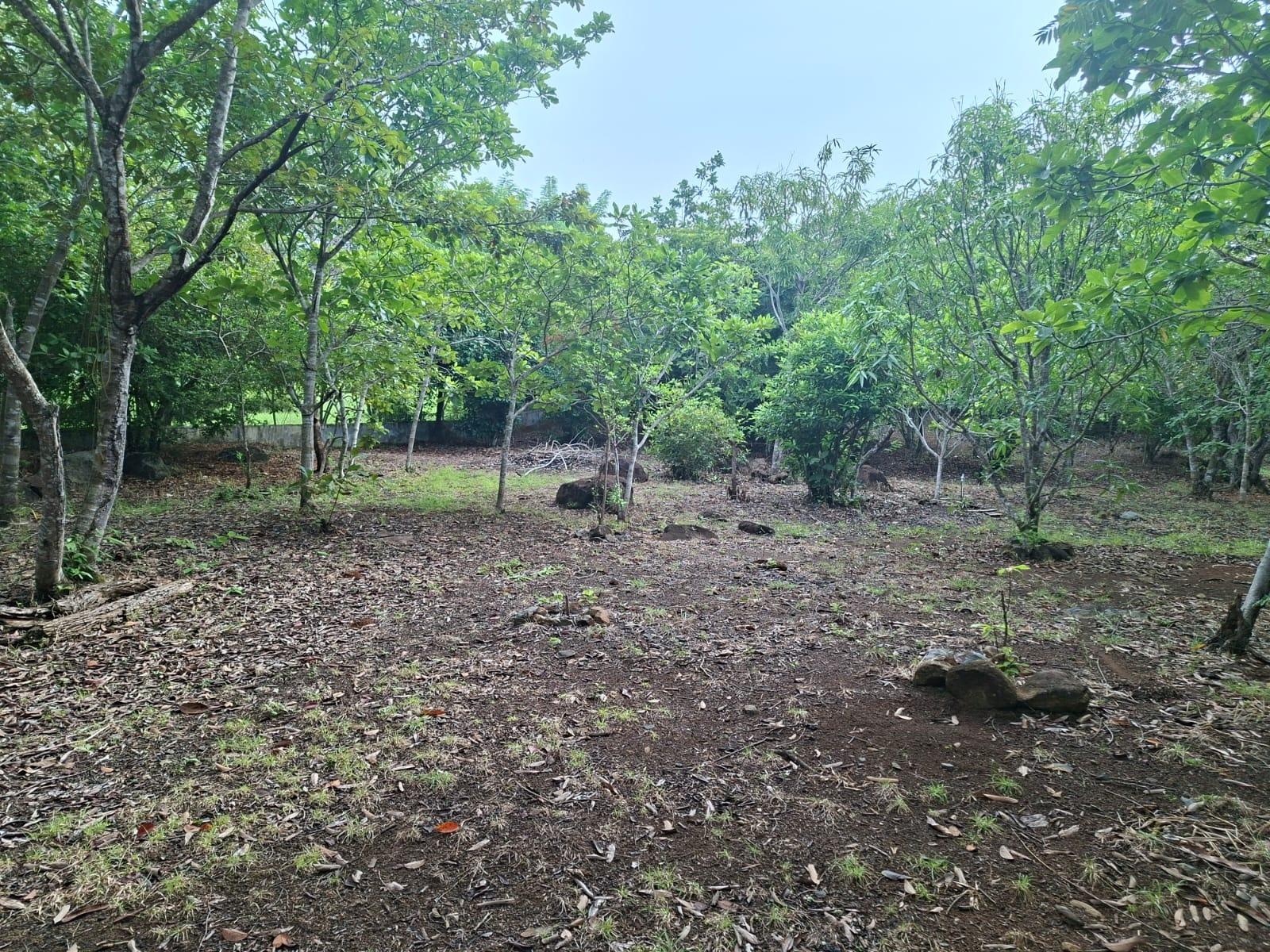 res-00006549-13.jpg