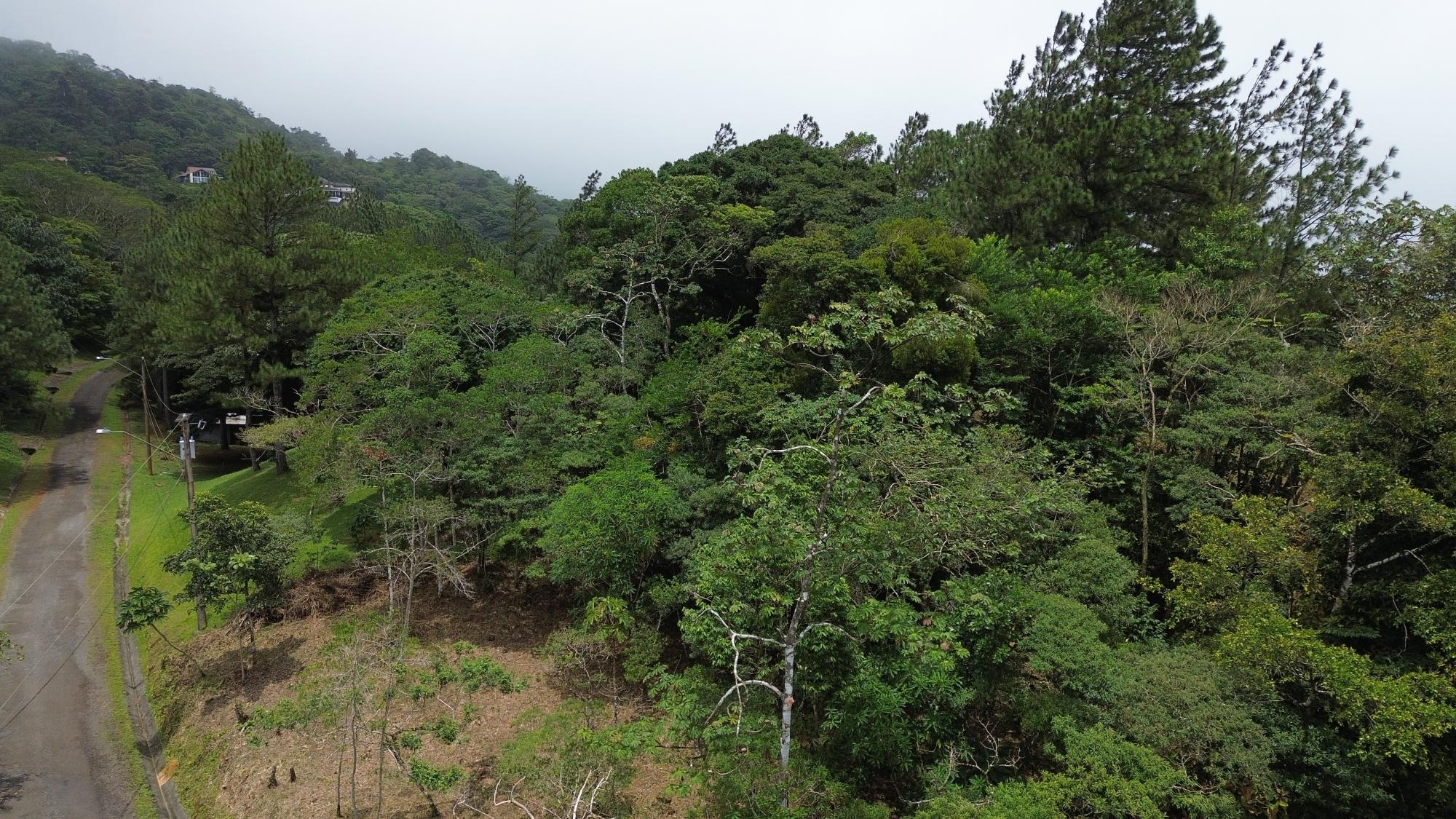 res-0000654b-07.jpg