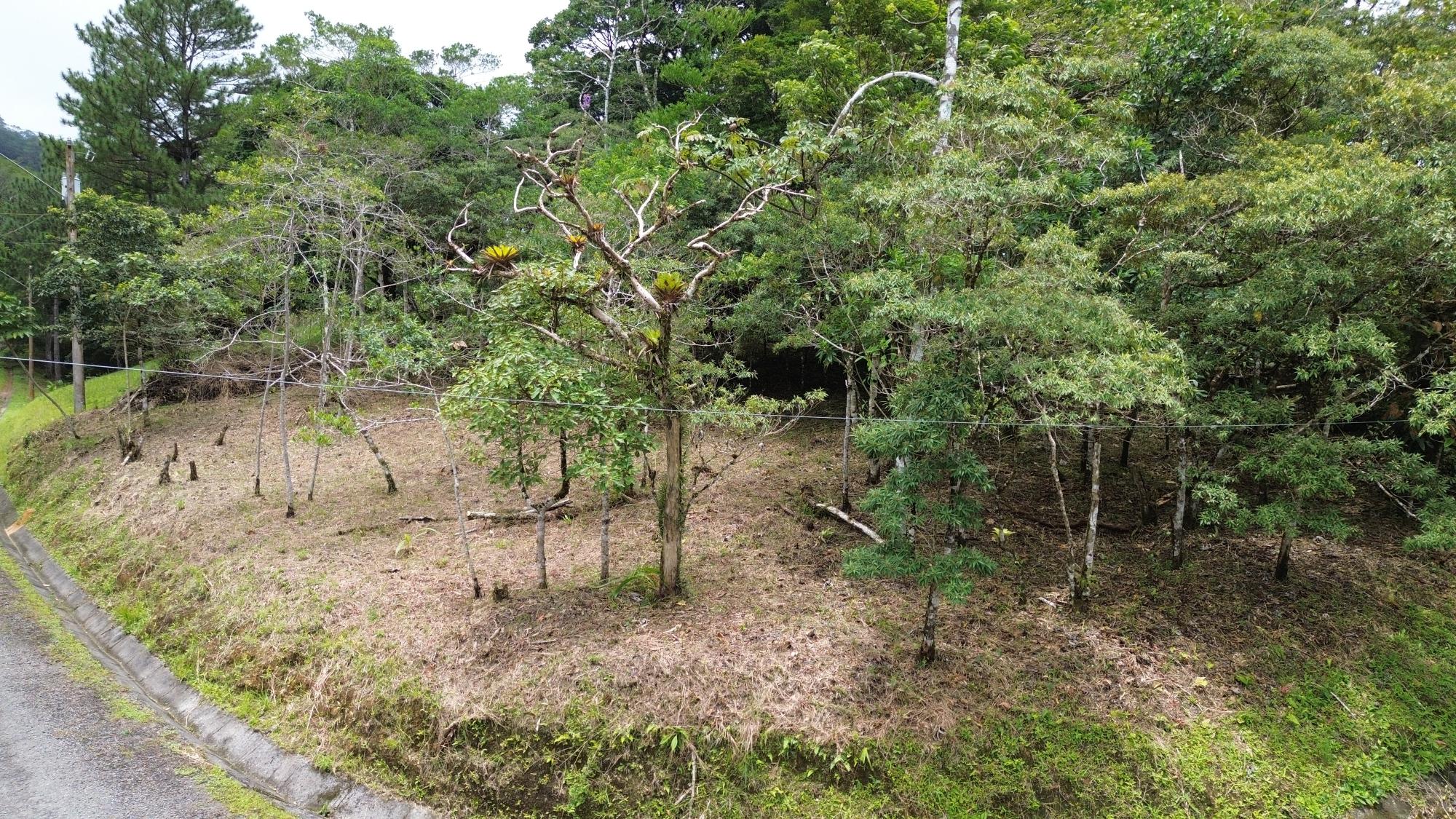res-0000654b-08.jpg