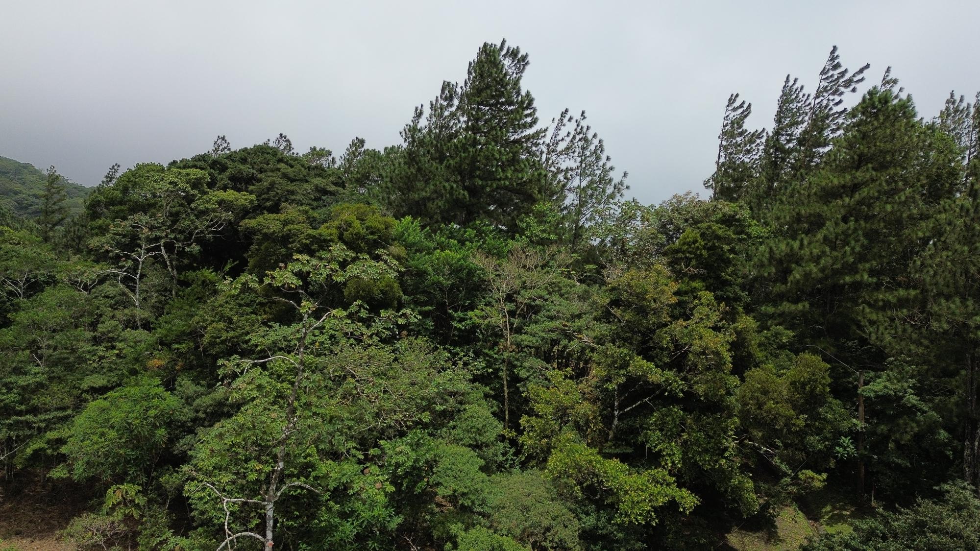 res-0000654b-10.jpg