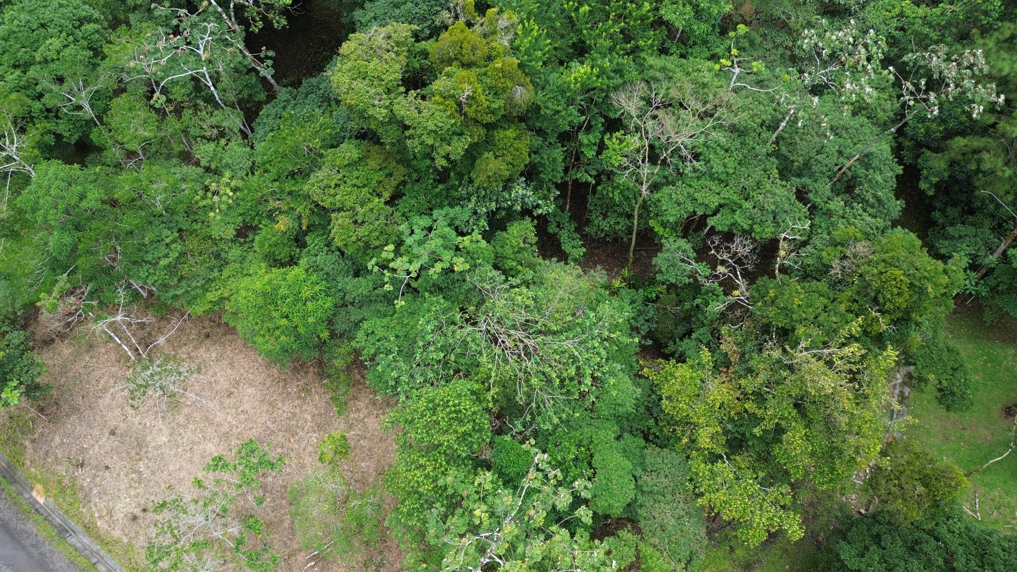 res-0000654b-20.jpg