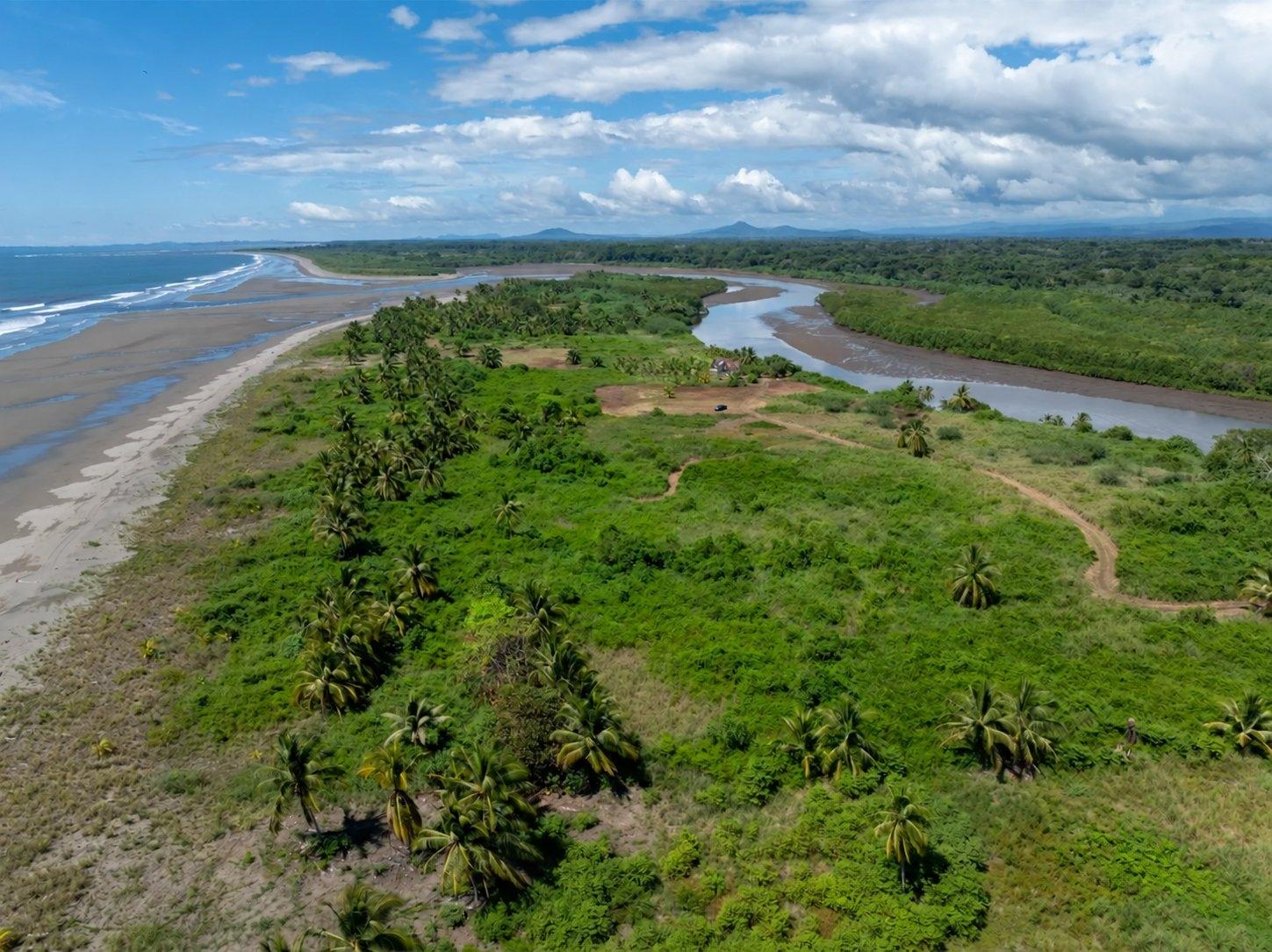 res-00006551-14.jpg