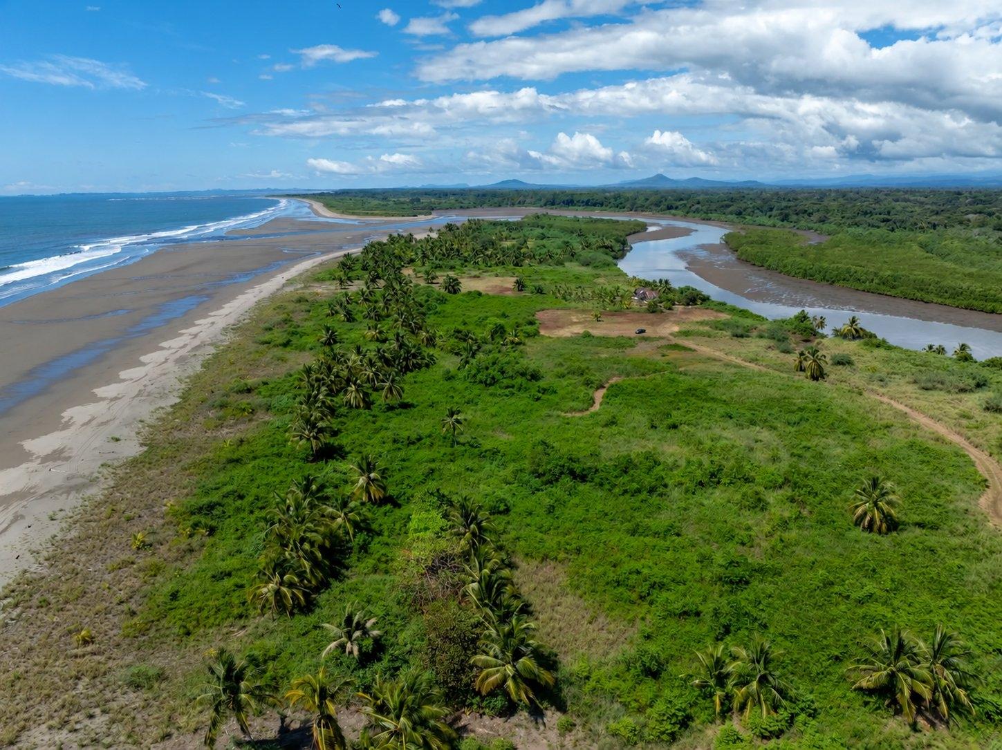 res-00006551-15.jpg