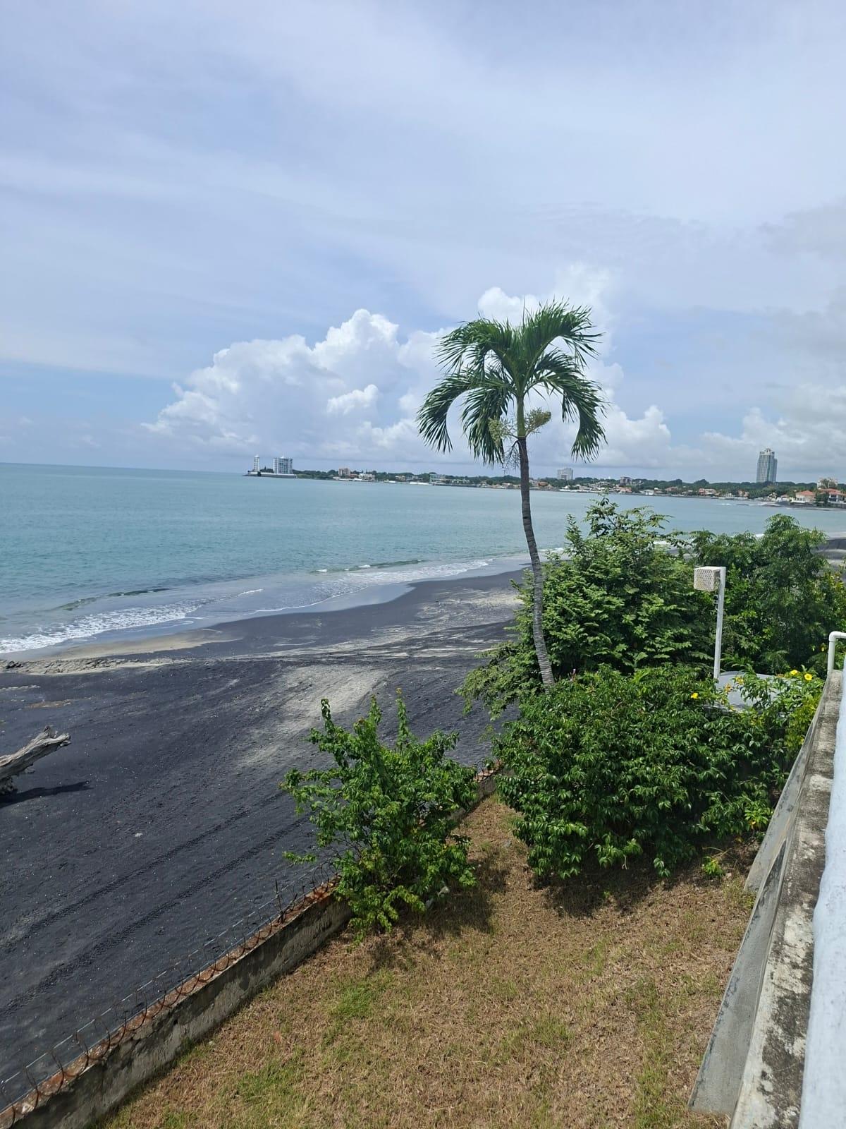 res-00006553-02.jpg