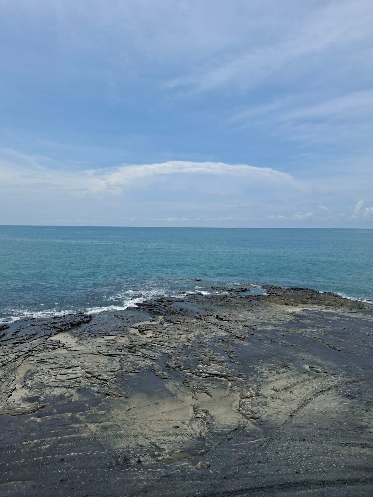 res-00006553-03.jpg