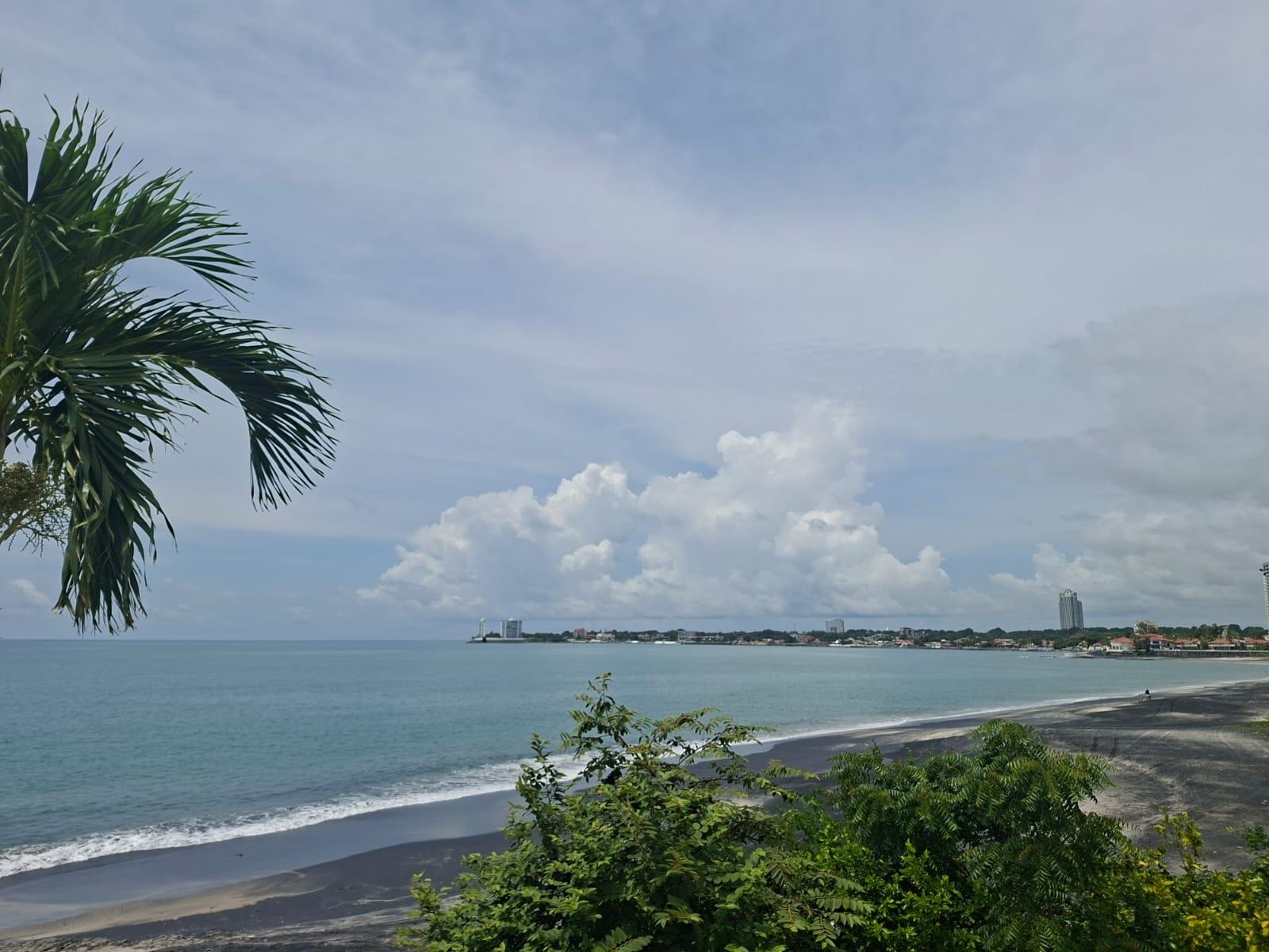 res-00006553-05.jpg