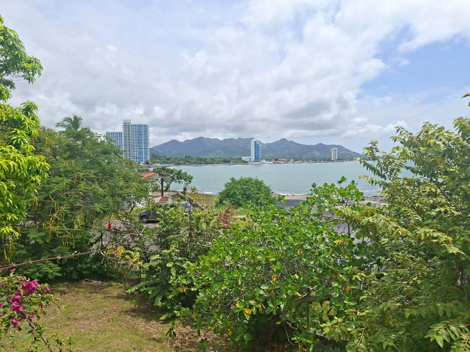 res-00006553-07.jpg