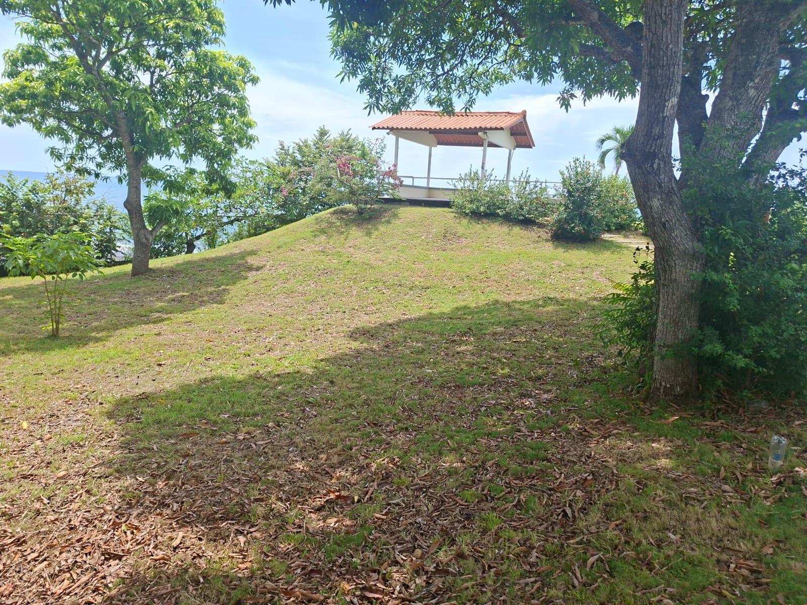 res-00006553-08.jpg