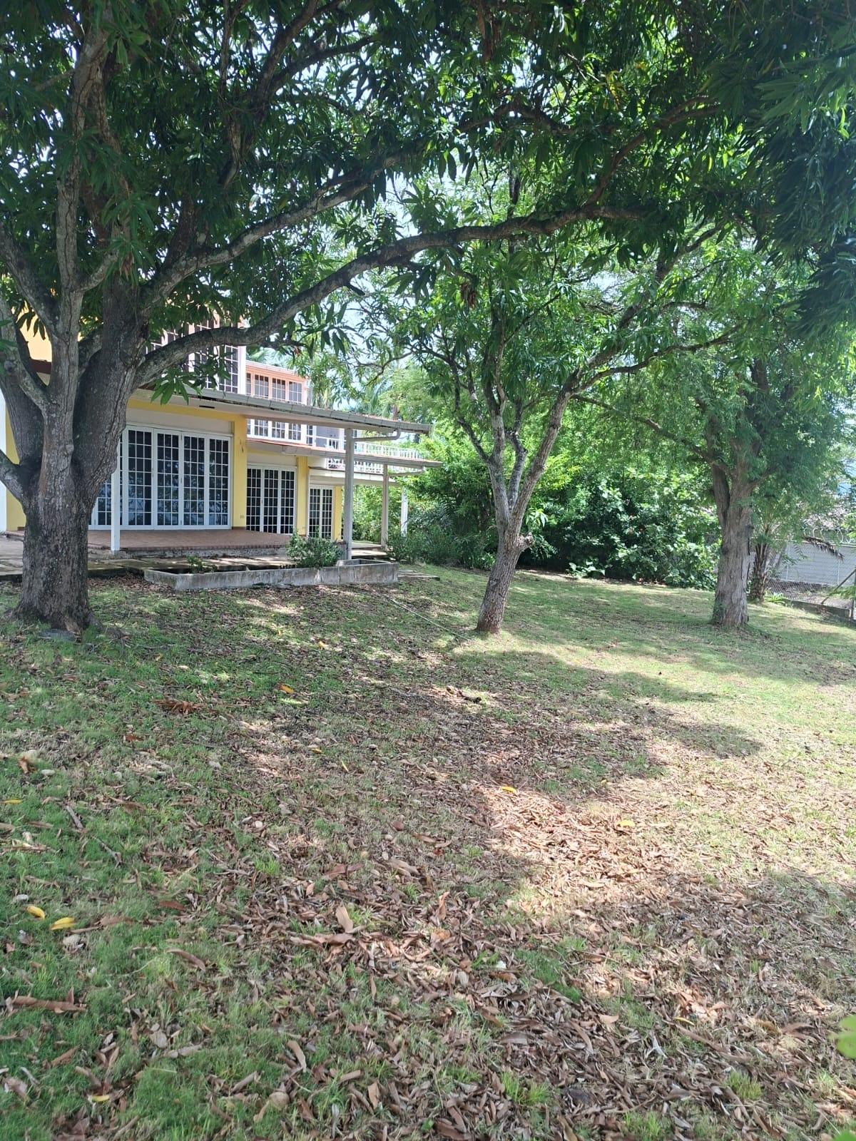 res-00006553-09.jpg