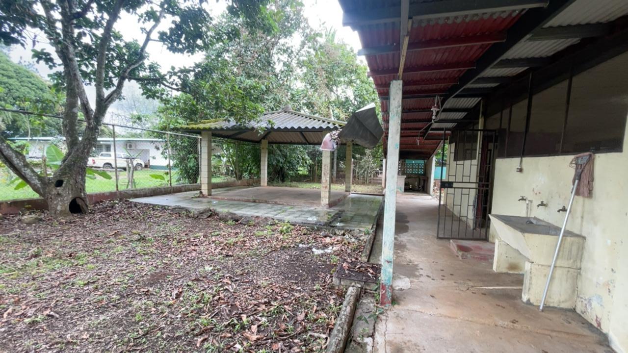 res-00006562-07.jpg