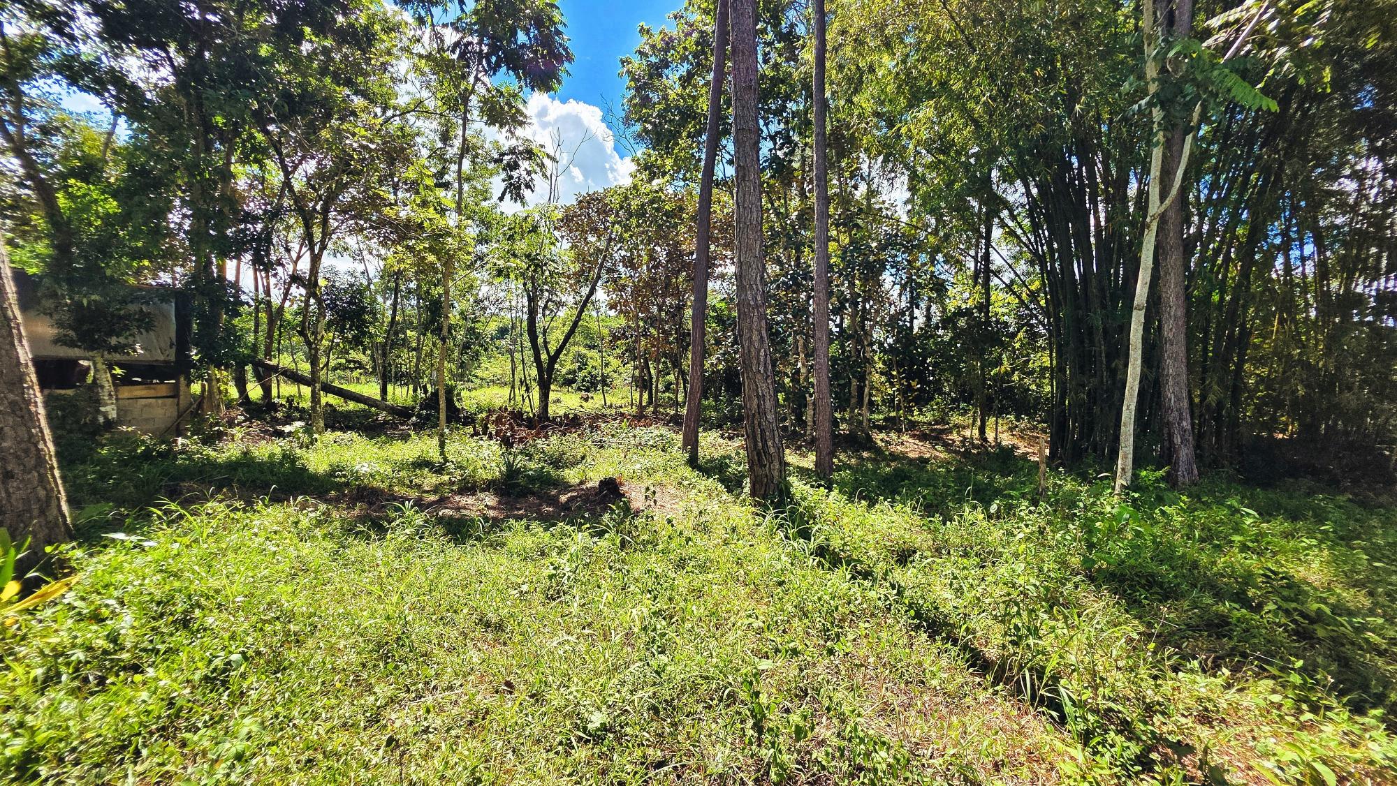 res-00006568-03.jpg