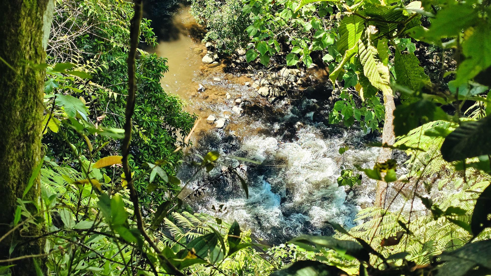 res-00006568-04.jpg