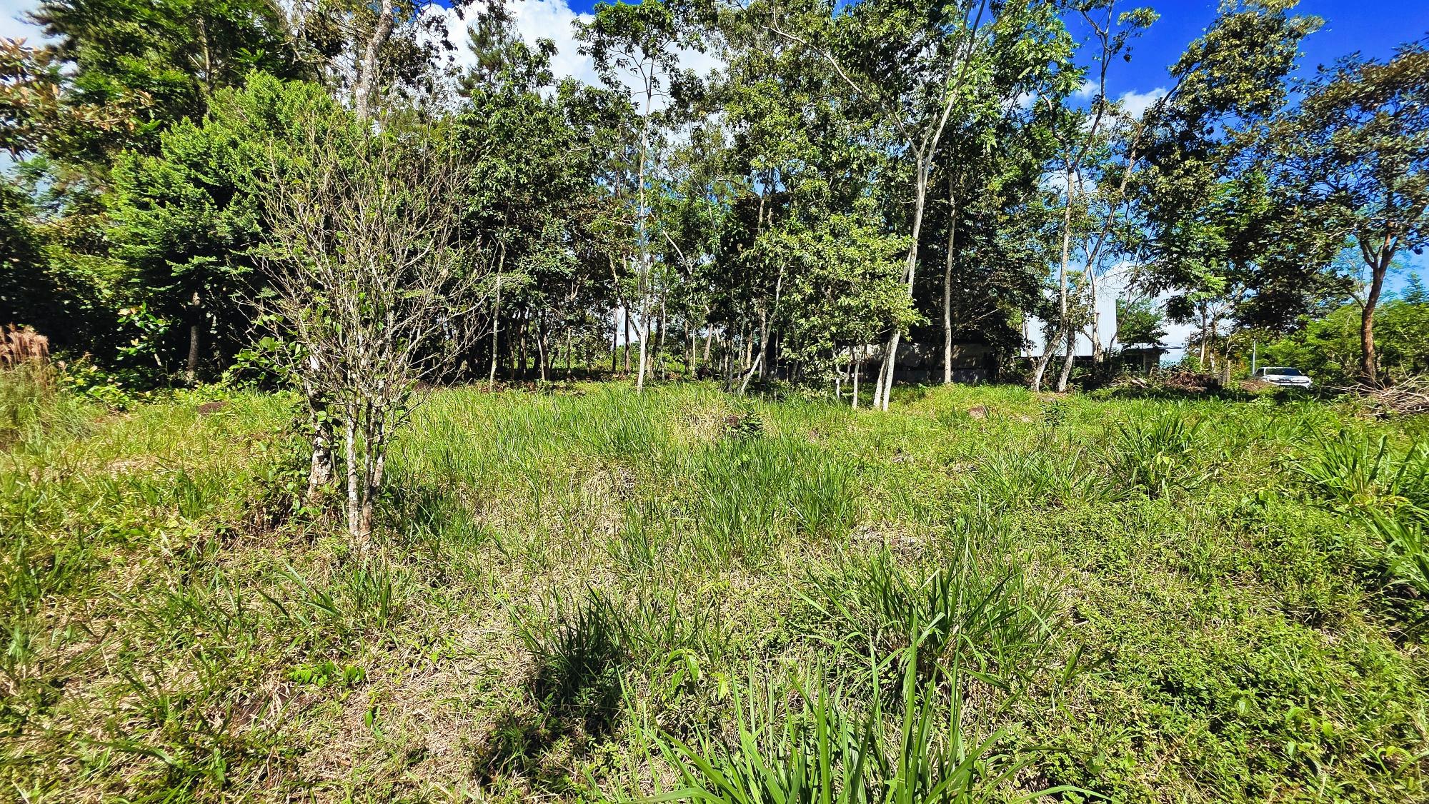 res-00006568-11.jpg