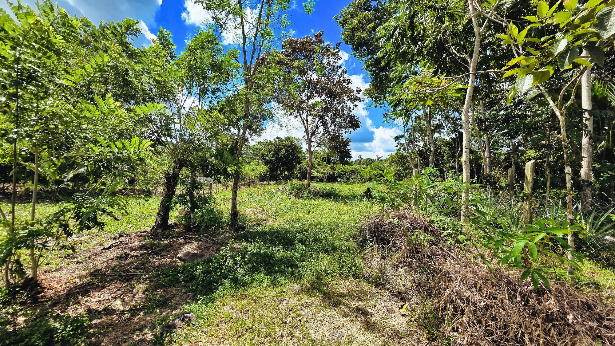 res-00006568-13.jpg