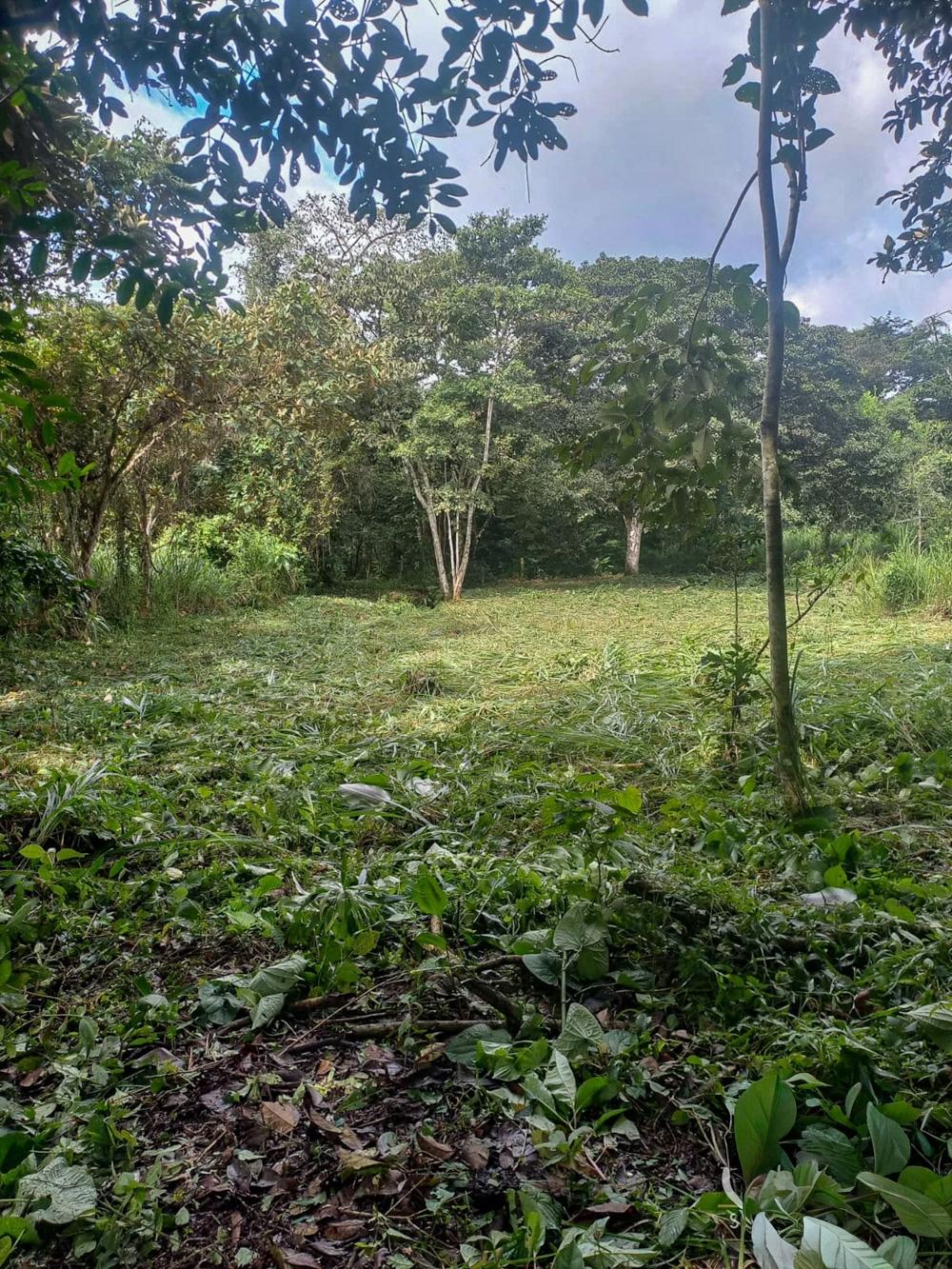 res-0000656a-06.jpg