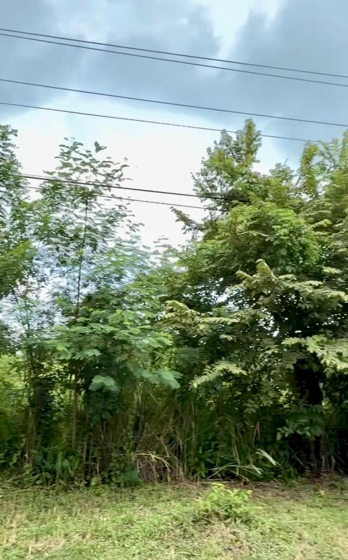 res-00006581-03.jpg