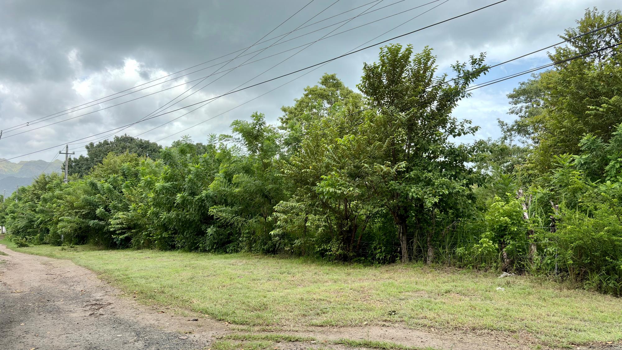 res-00006582-02.jpg