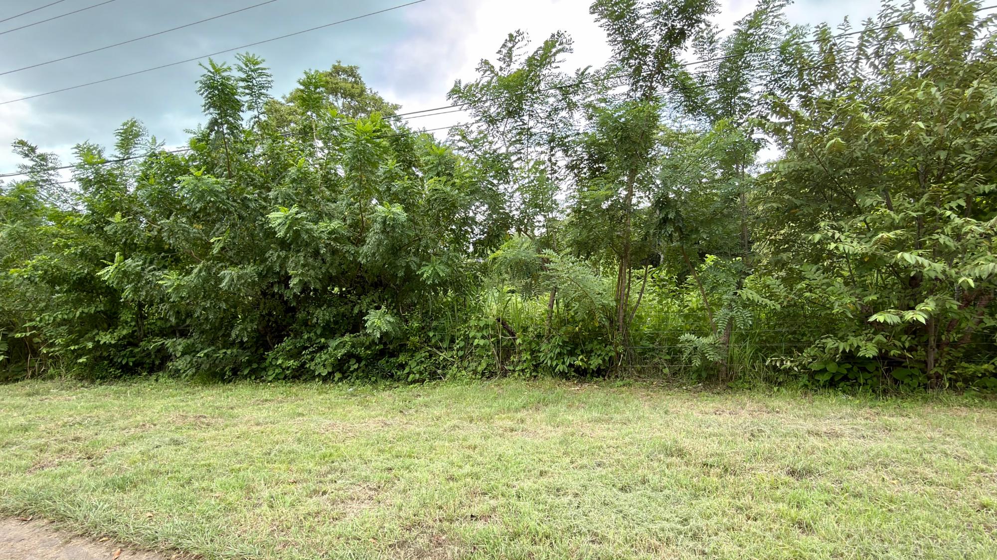 res-00006582-03.jpg