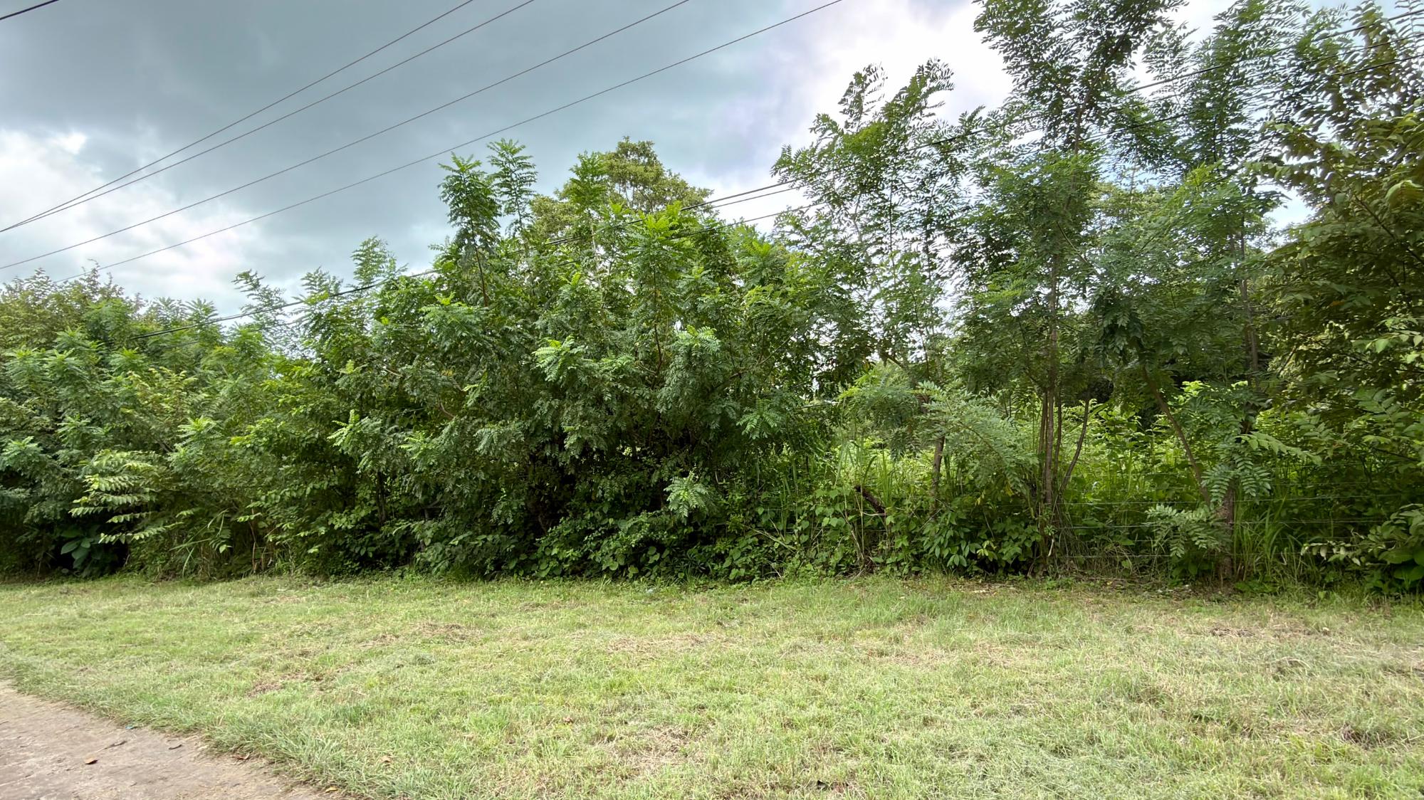 res-00006582-04.jpg