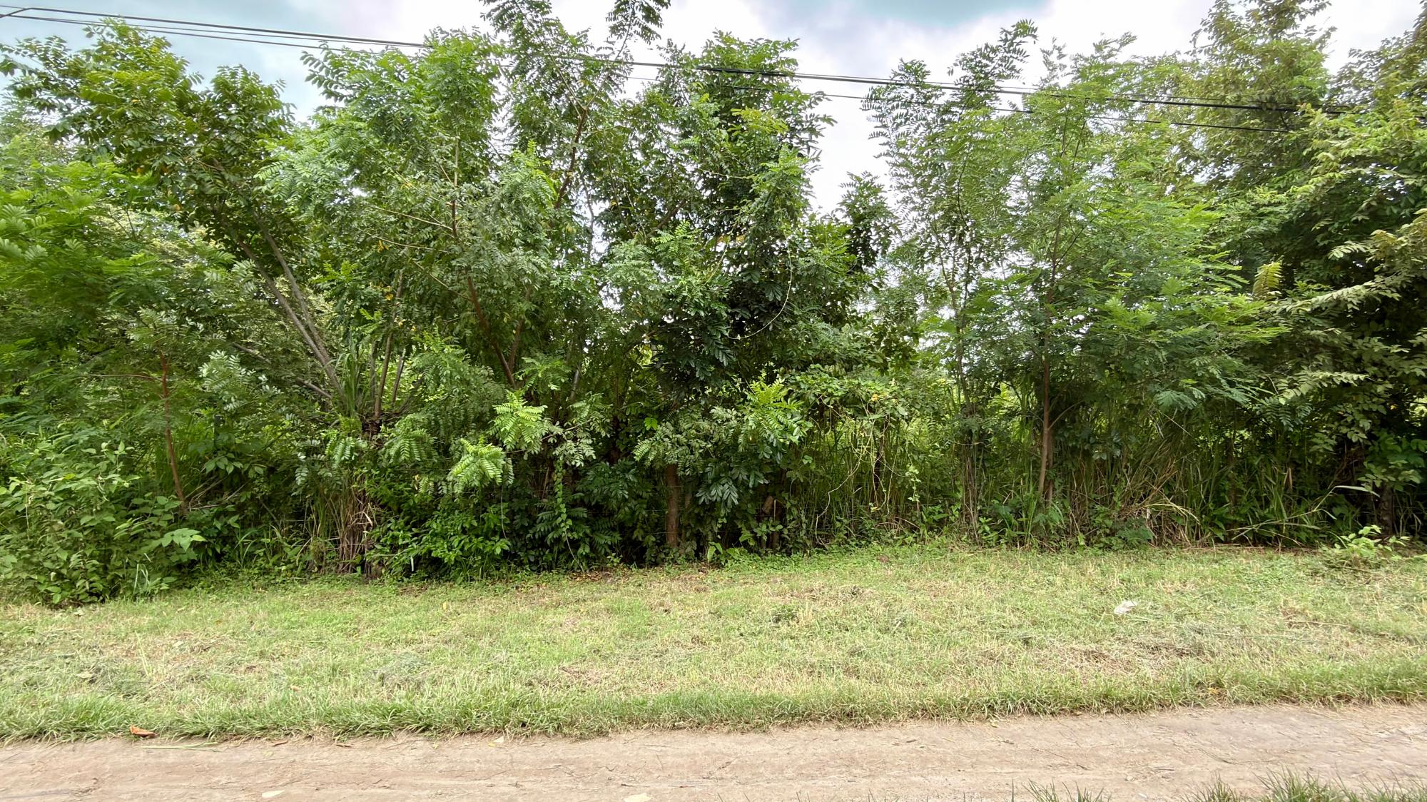 res-00006582-05.jpg