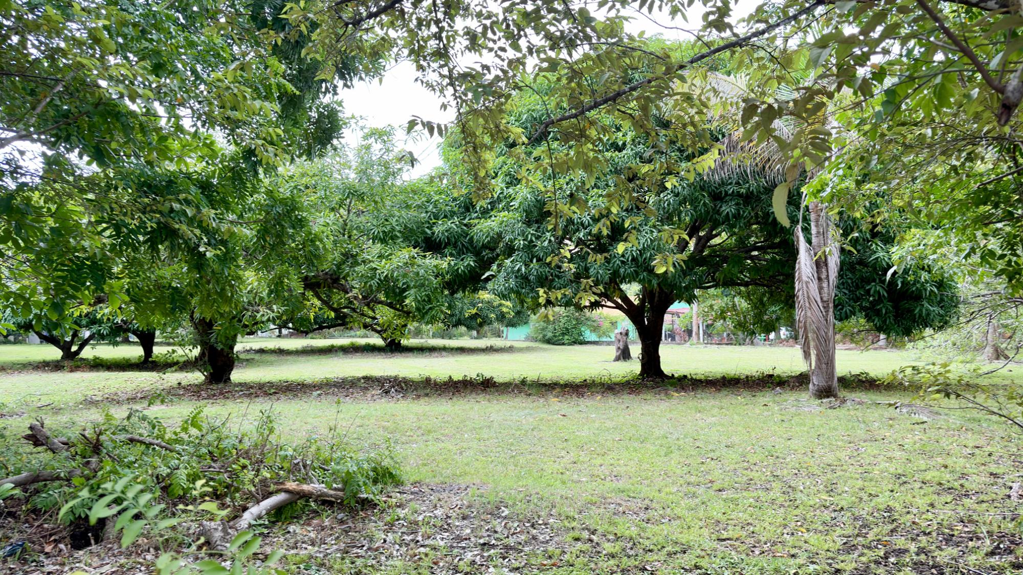 res-00006583-01.jpg