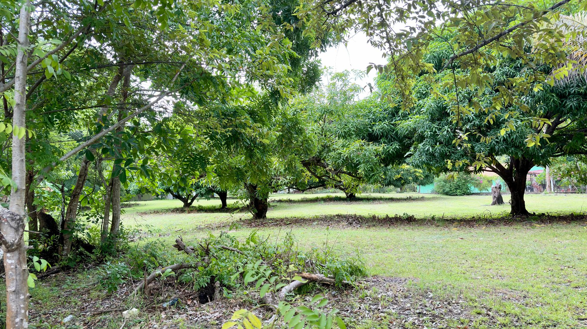 res-00006583-02.jpg