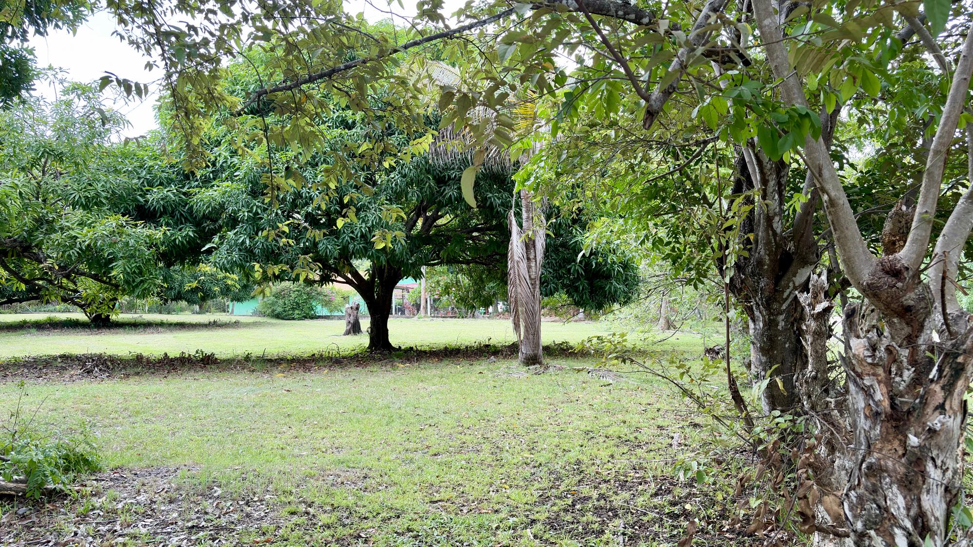 res-00006583-03.jpg