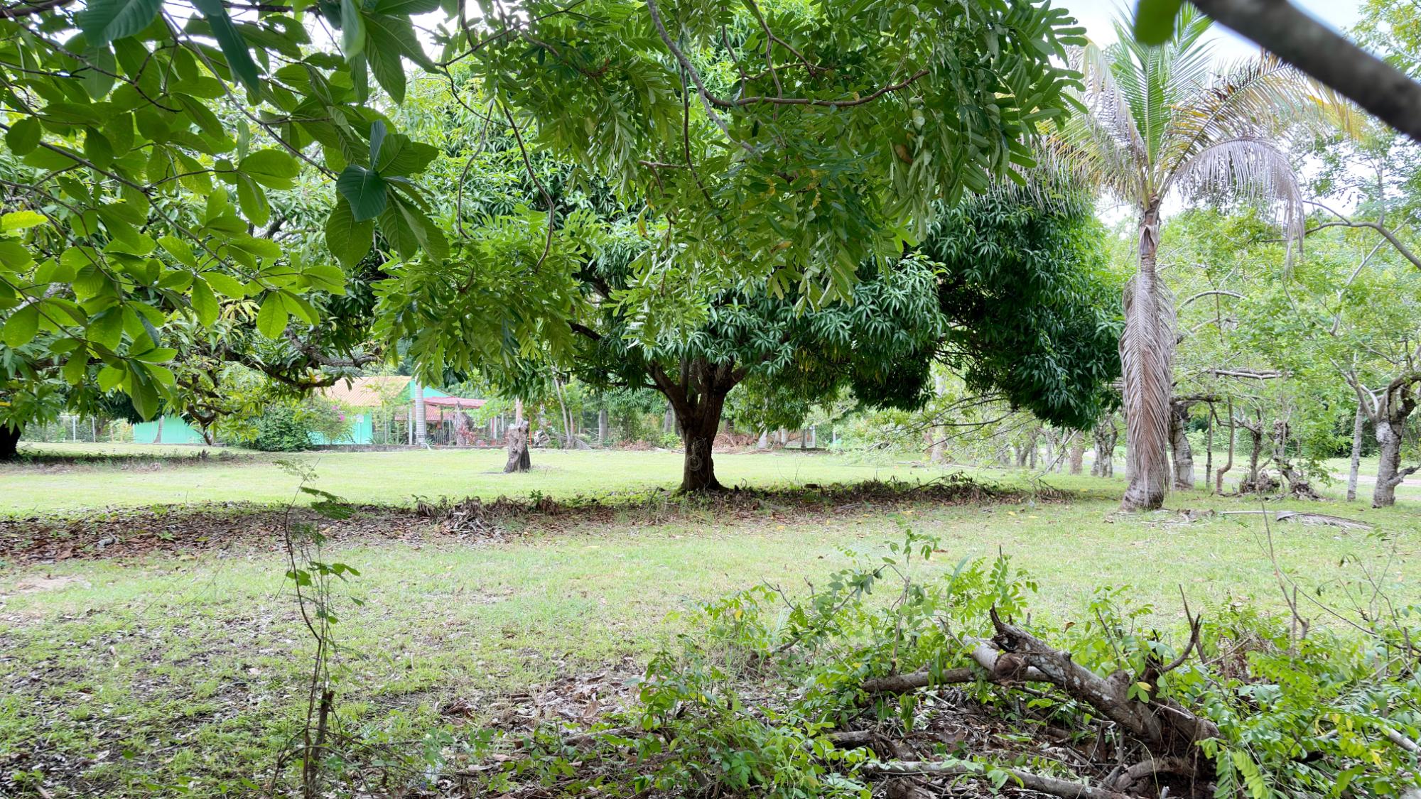 res-00006583-04.jpg