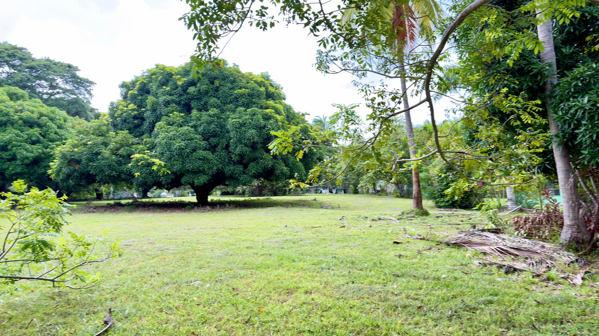 res-00006583-14.jpg
