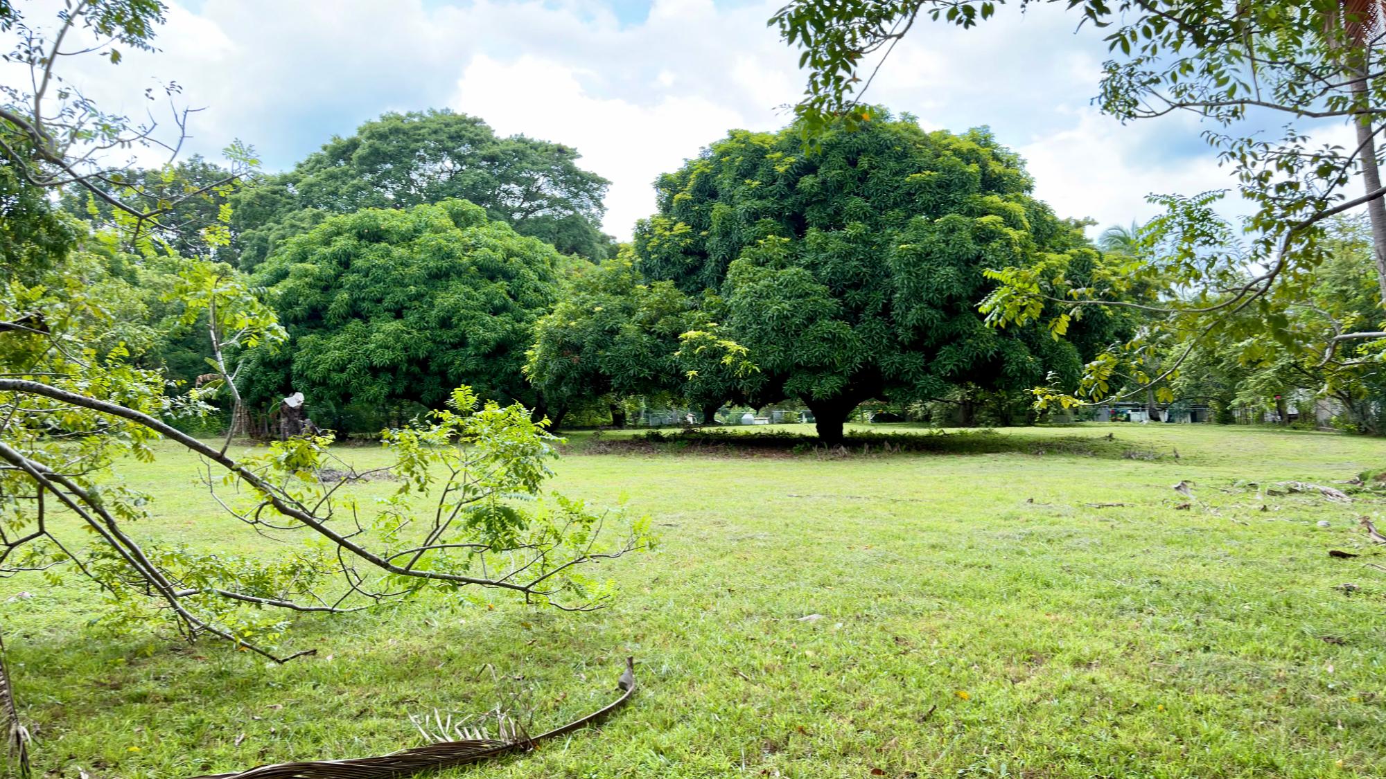 res-00006583-15.jpg