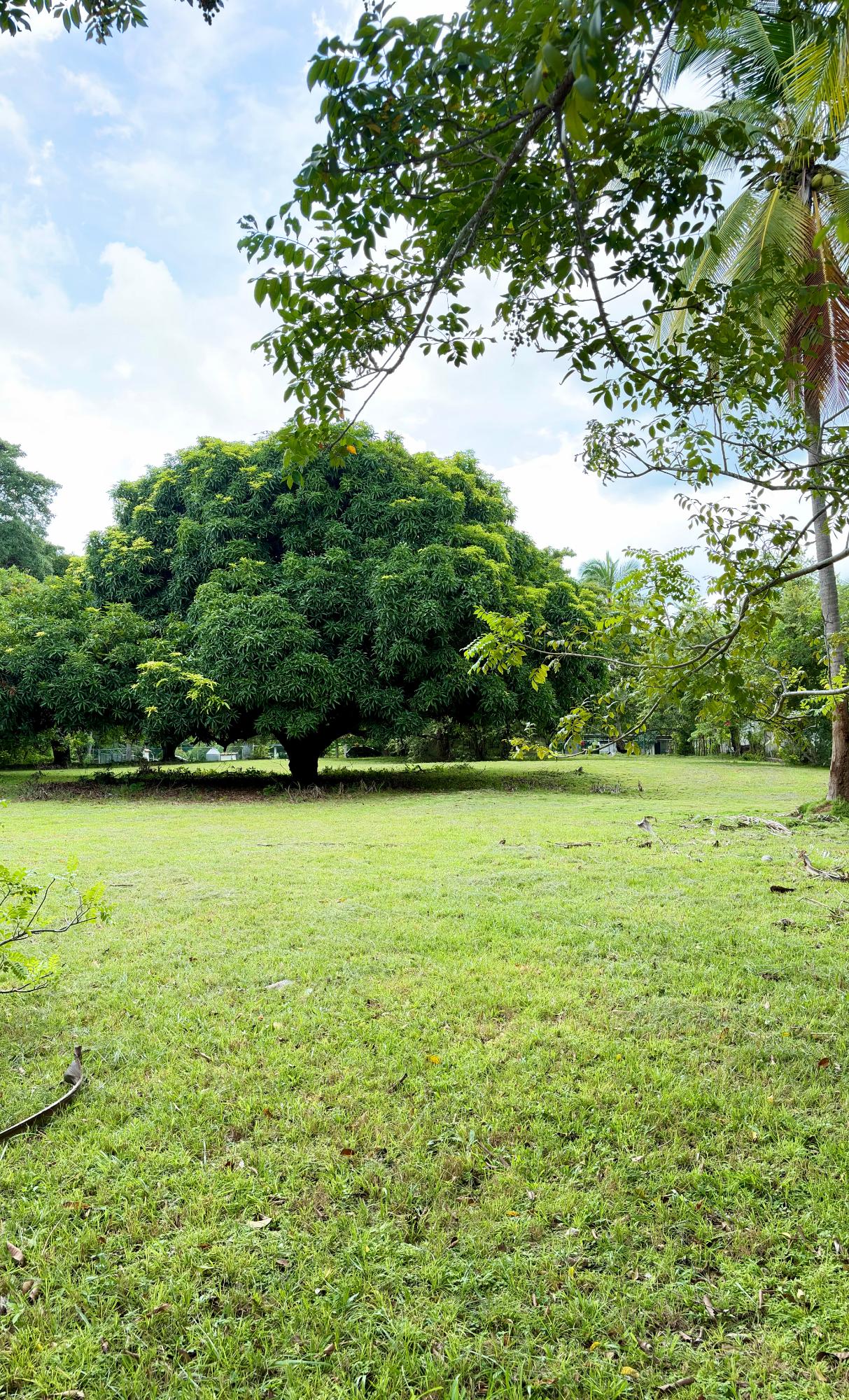 res-00006583-17.jpg