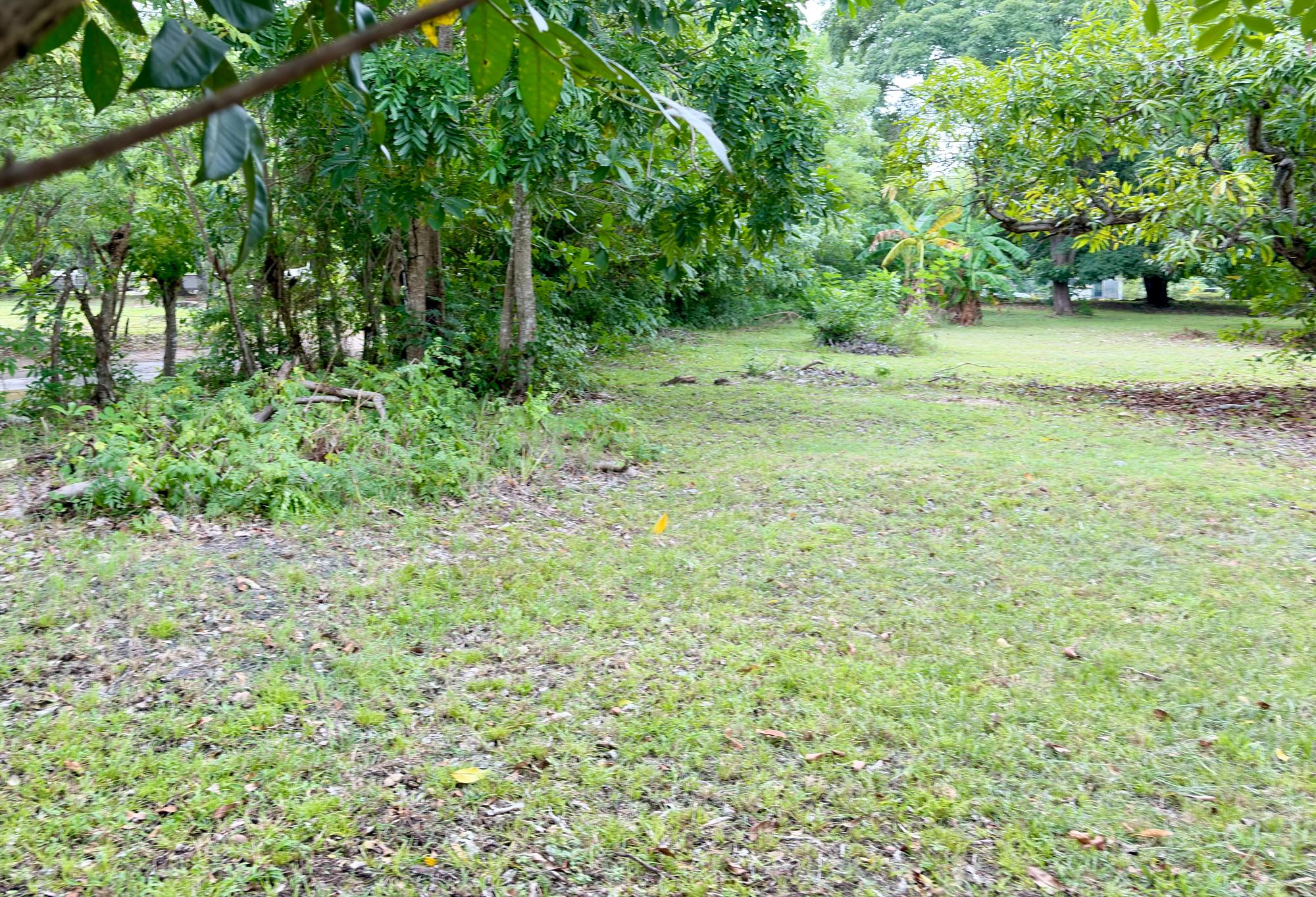 res-00006583-18.jpg