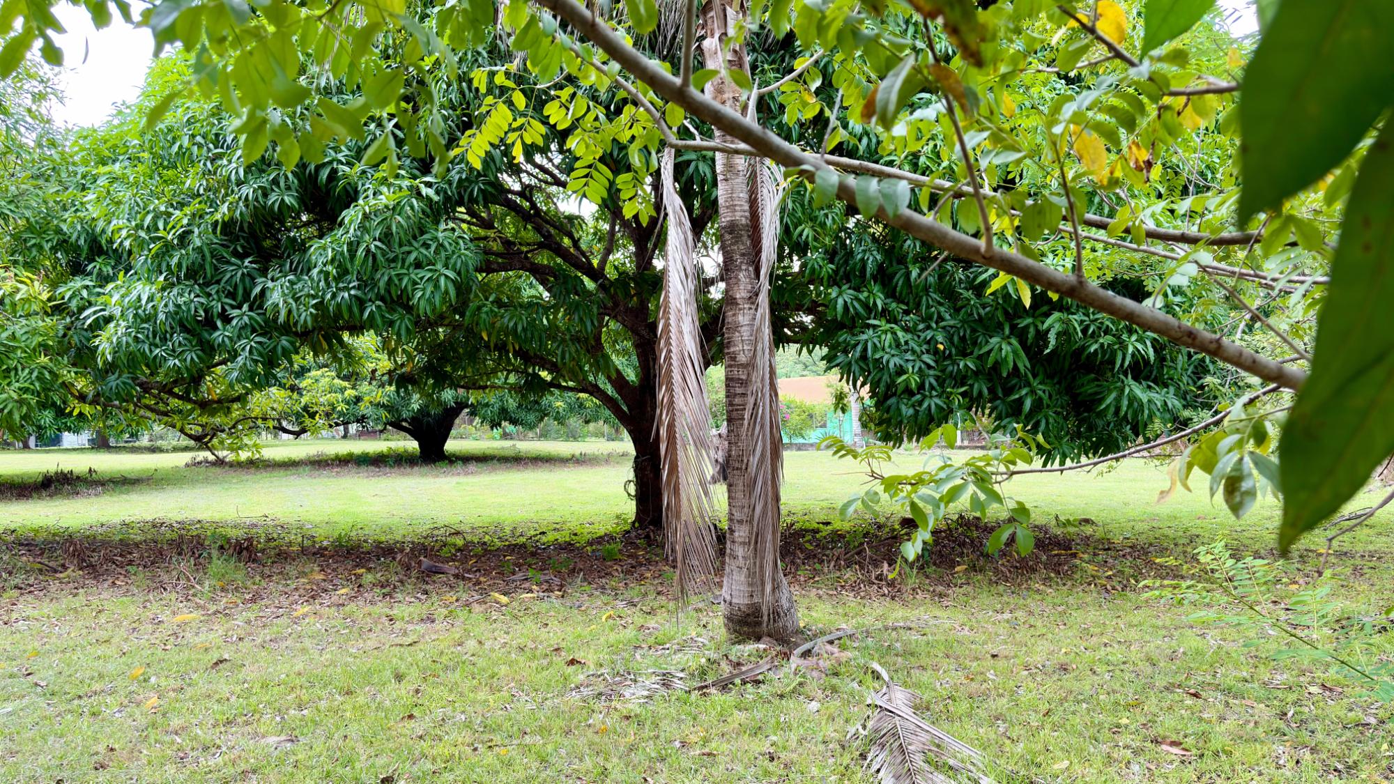 res-00006583-19.jpg