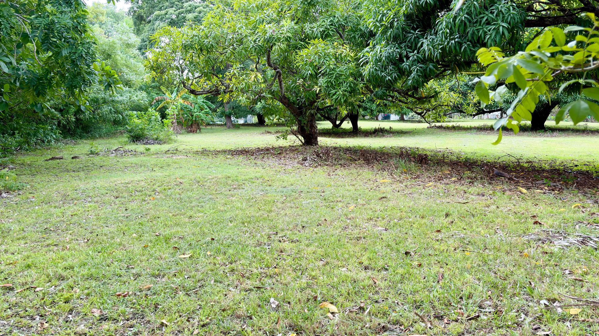 res-00006583-20.jpg