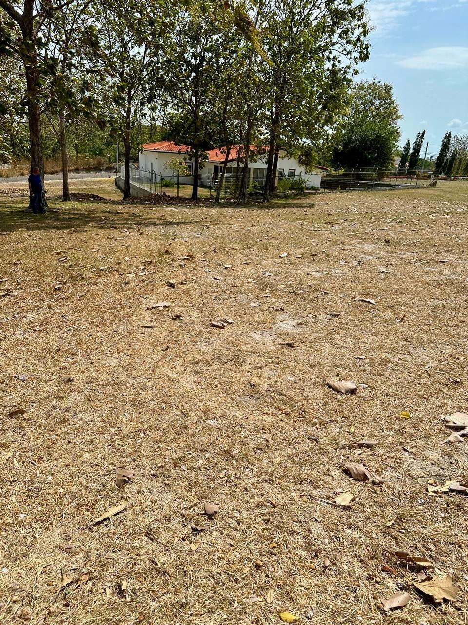 res-00006584-01.jpg