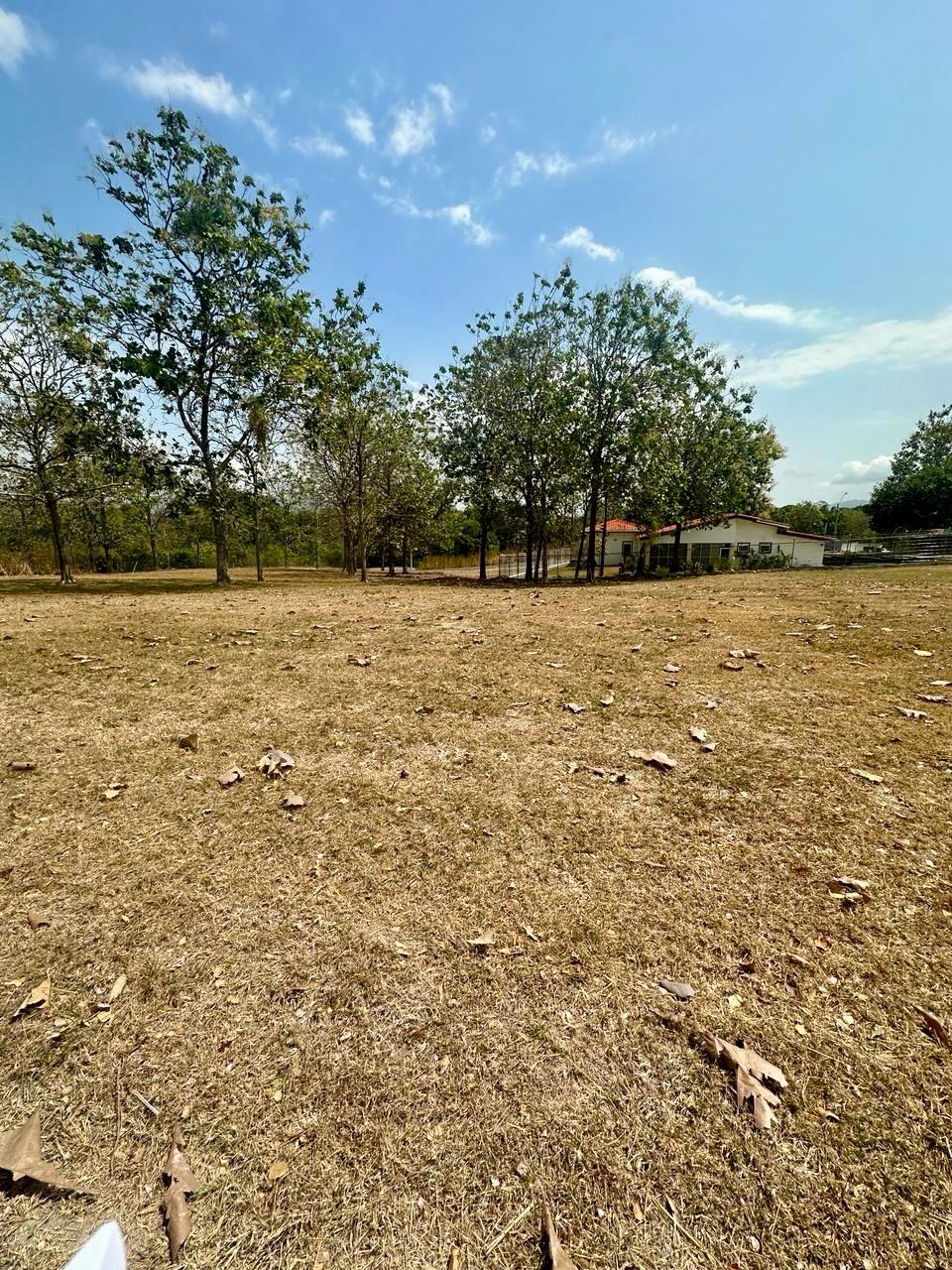 res-00006584-02.jpg