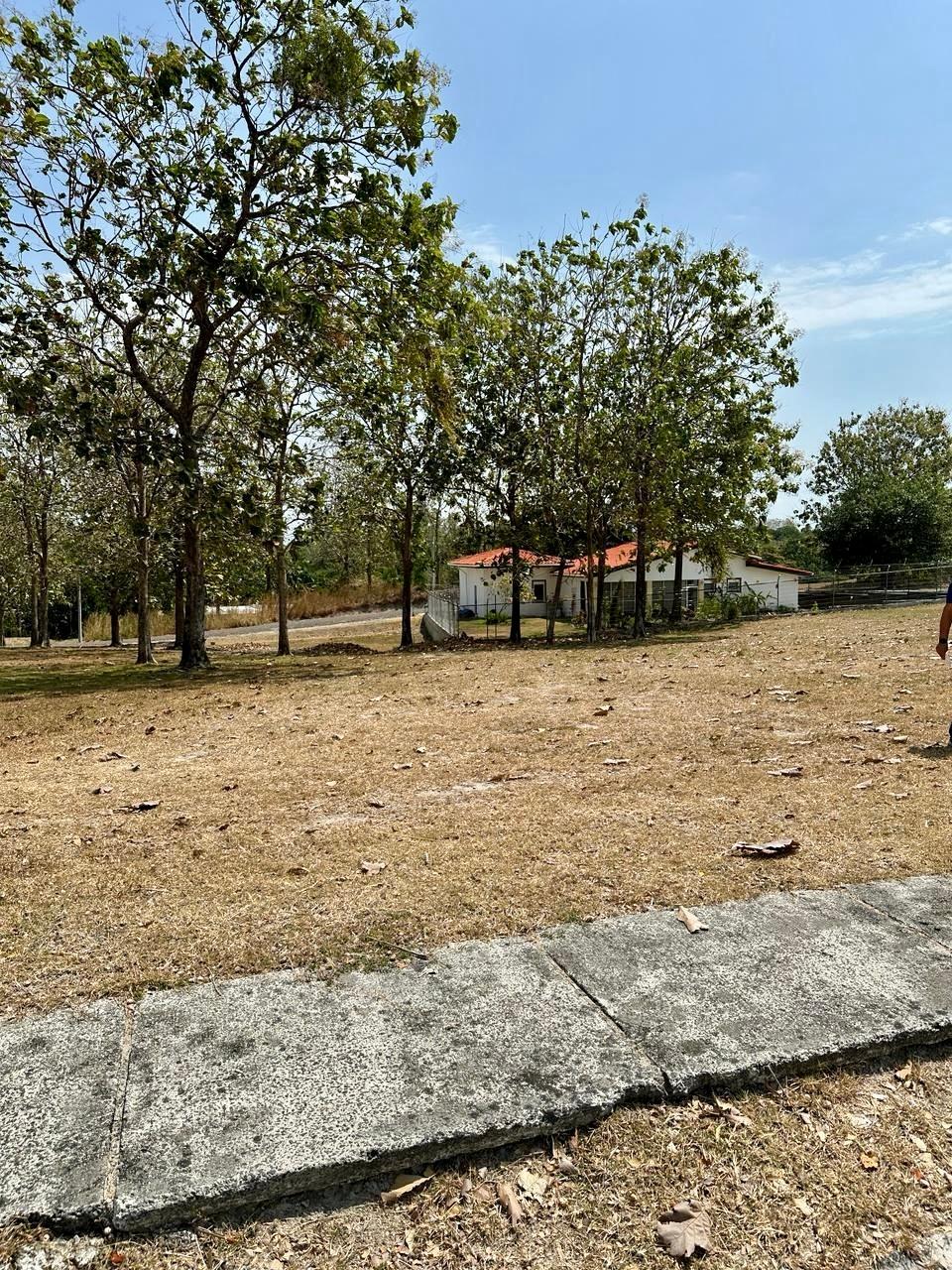 res-00006584-03.jpg