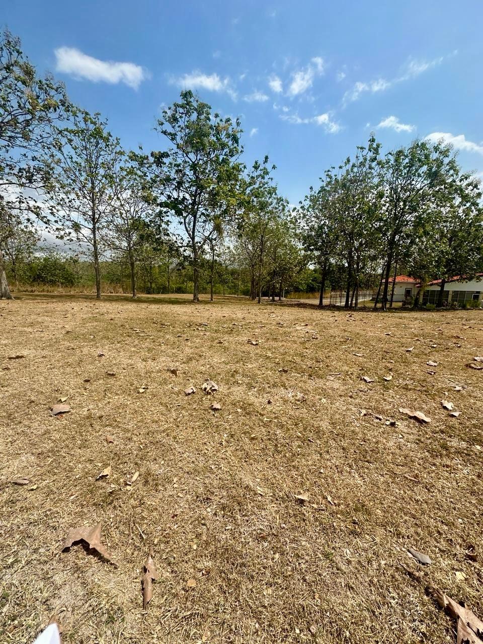 res-00006584-04.jpg