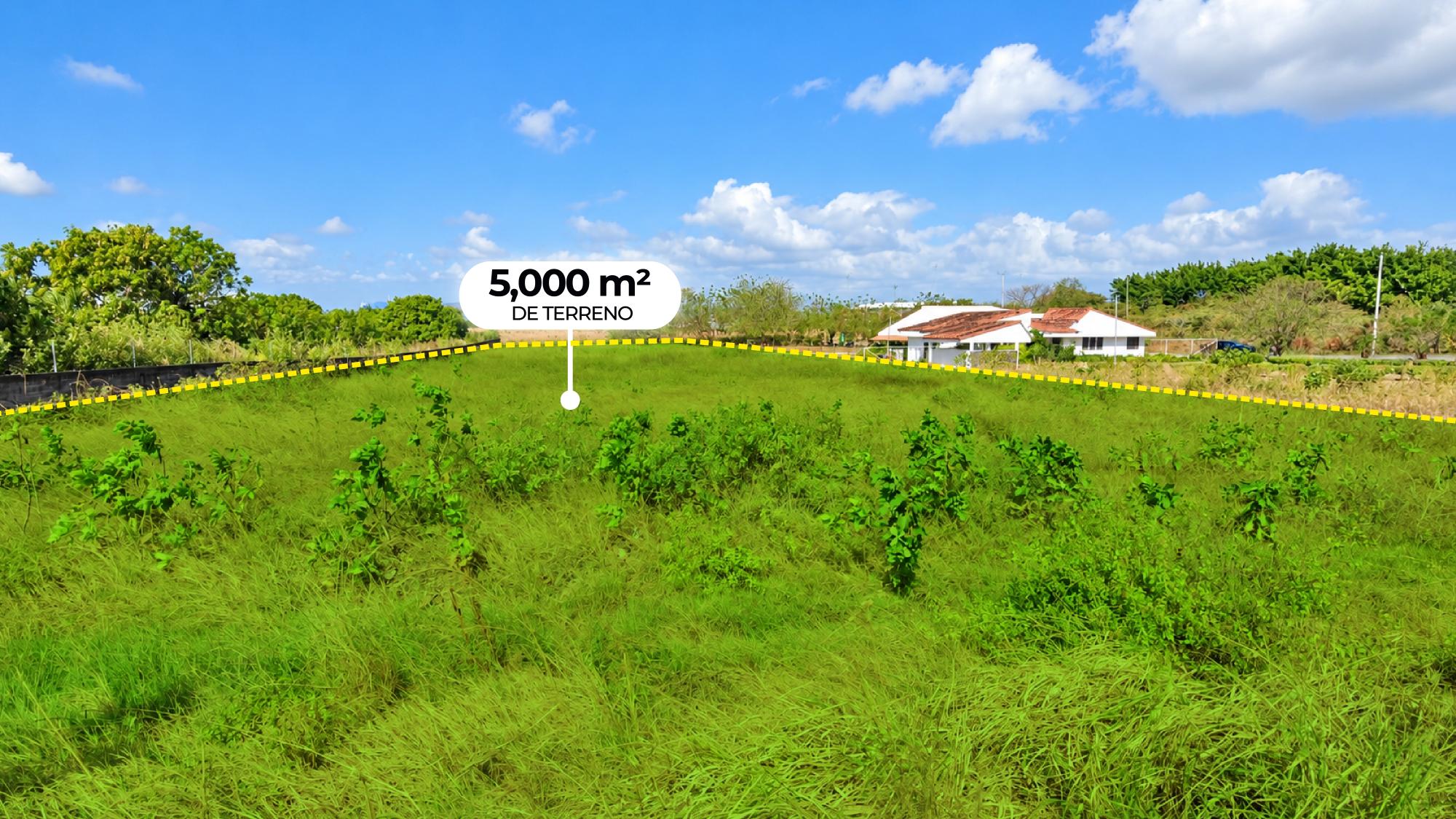 com-00006650-04.jpg