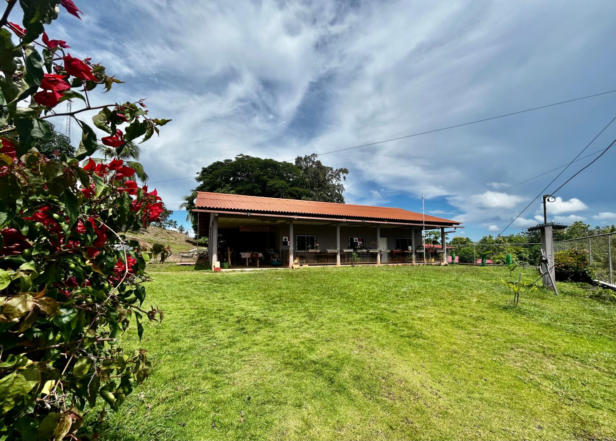 res-00006589-02.jpg