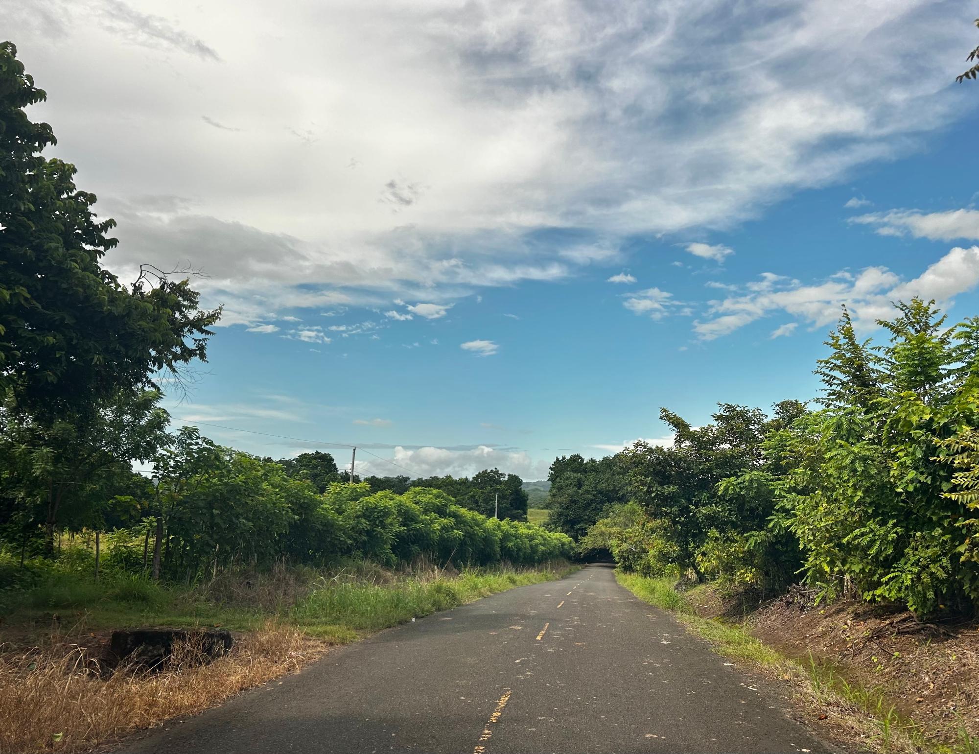res-00006589-16.jpg