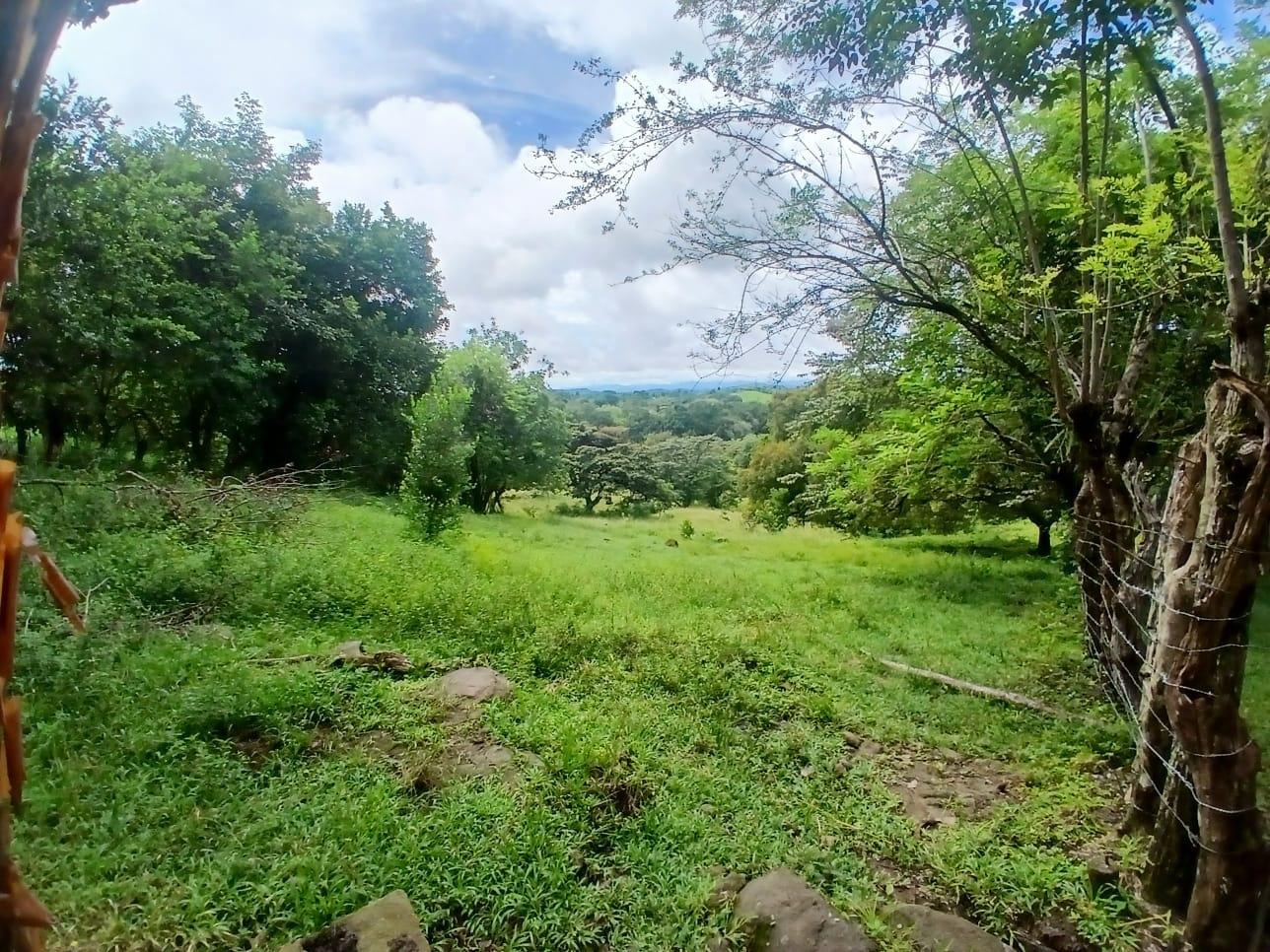 res-0000658b-03.jpg